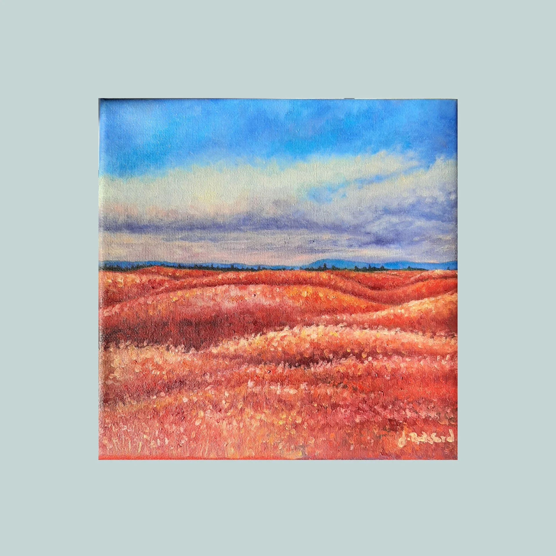 SG000473 - Blueberry Fields.jpg