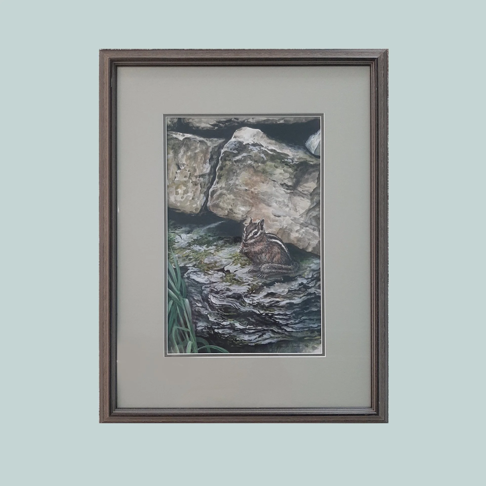 Stone Wall Ruin - Chipmunk Study
