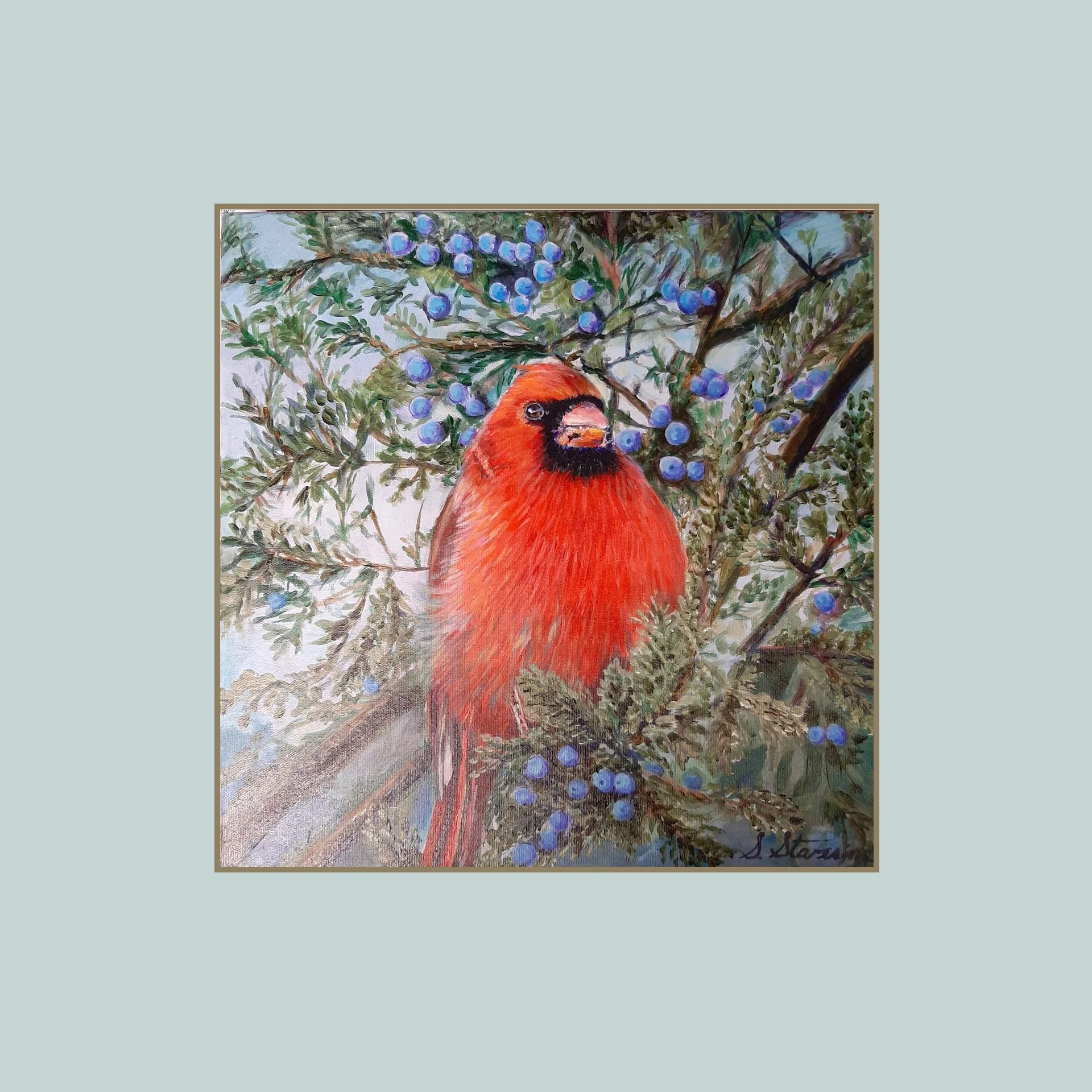SG000285 - Cardinal with berries.jpg