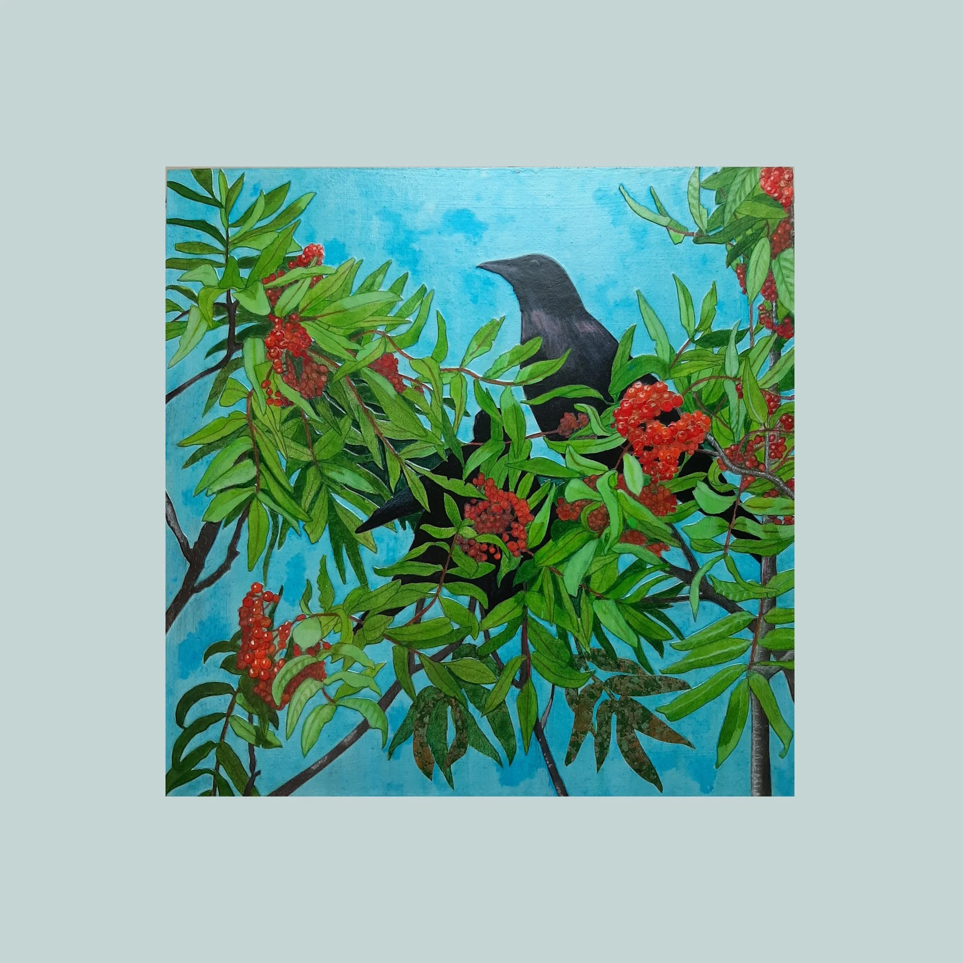 SG000759 - Two Crows and Red Berries II.jpg