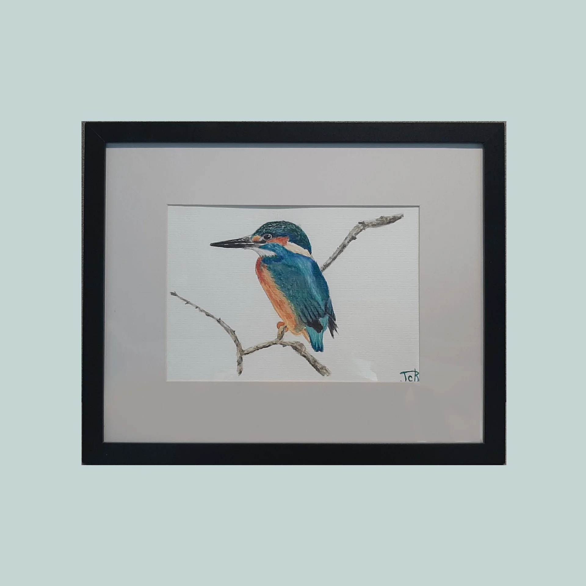 SG000796 - Kingfisher.jpg