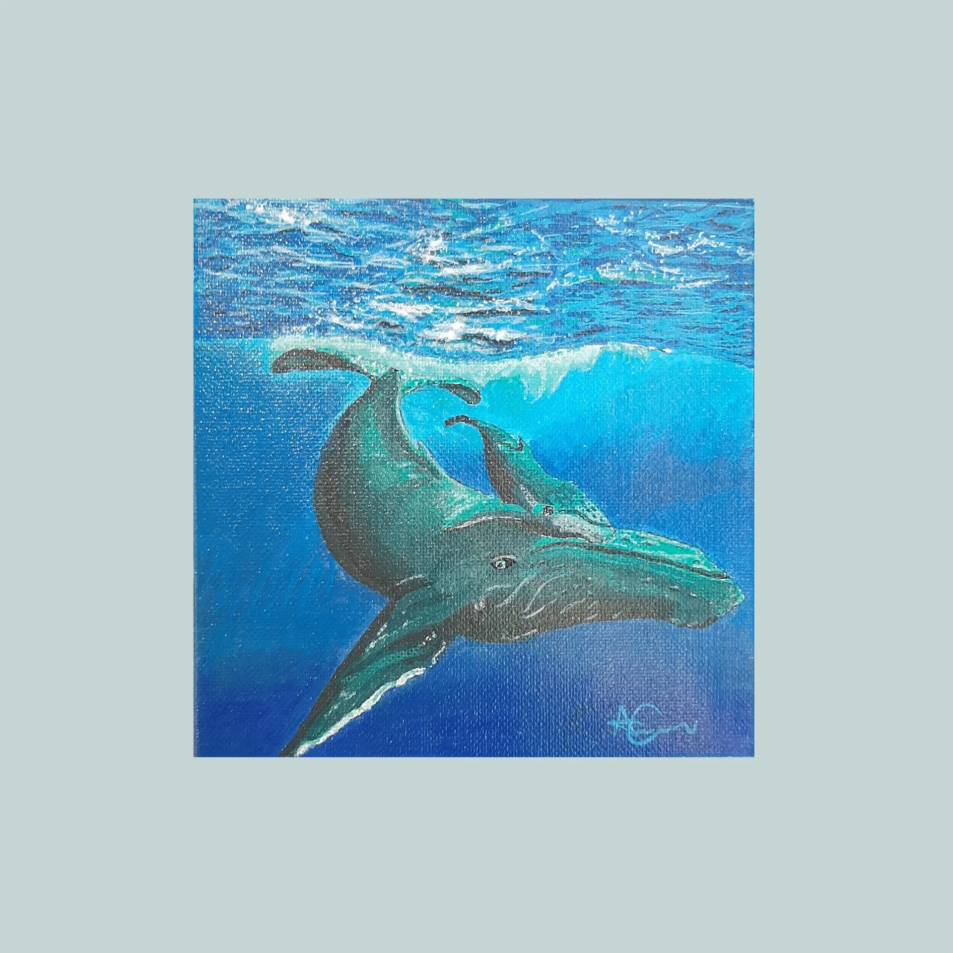 Safe in the Sea