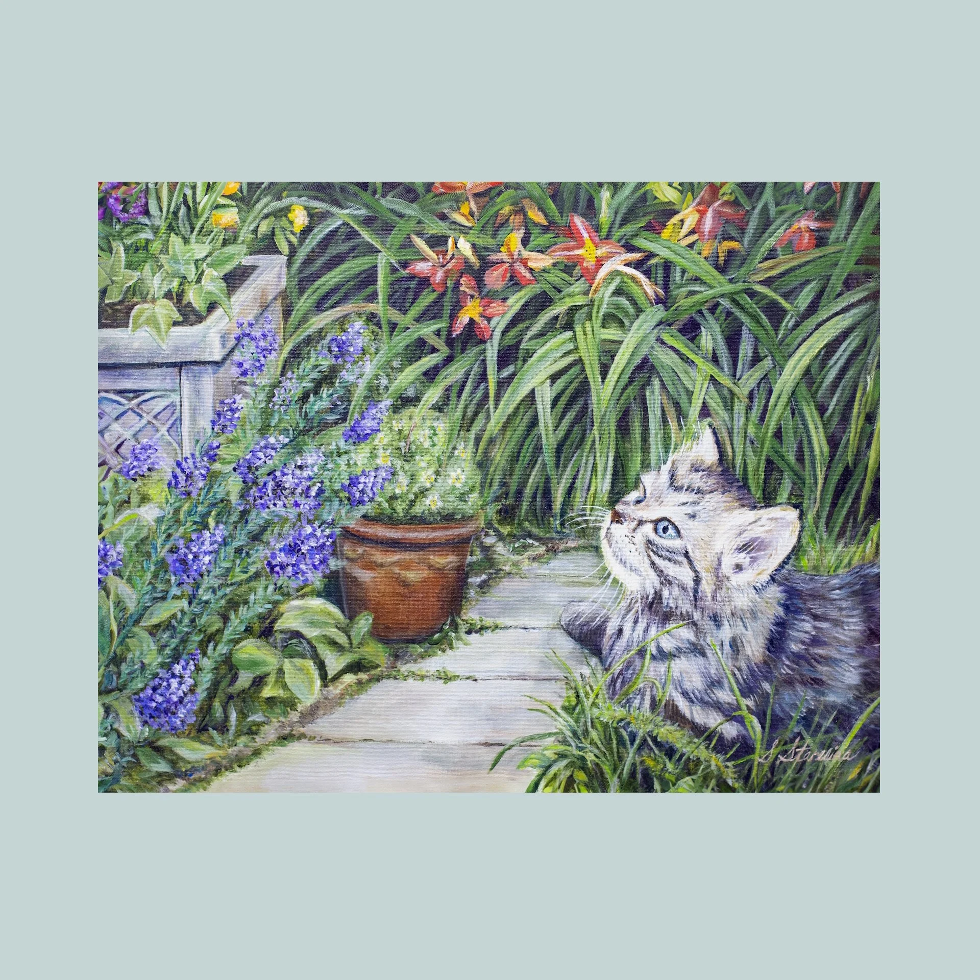 Kitten in the Garden