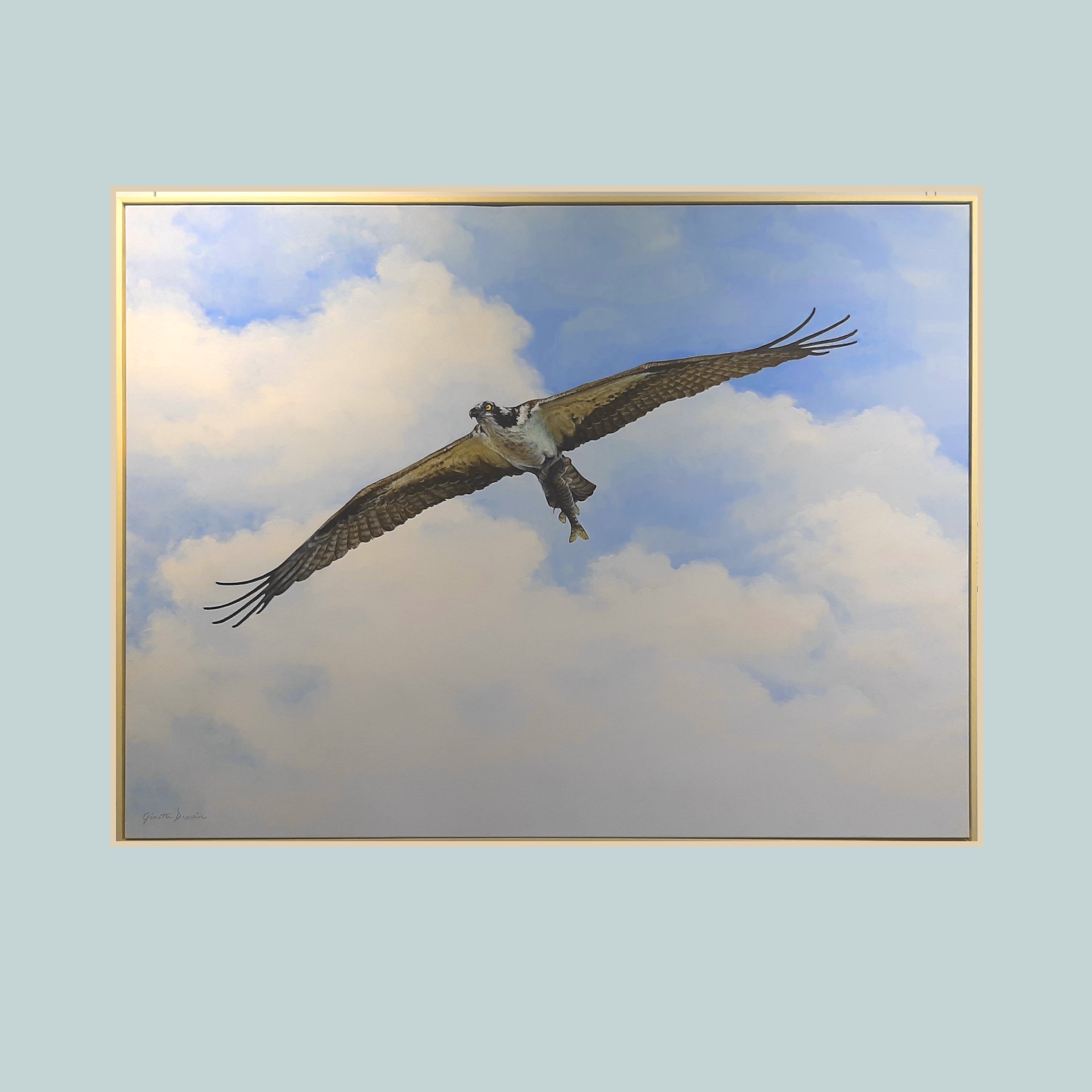 SG000714 - Osprey.jpg