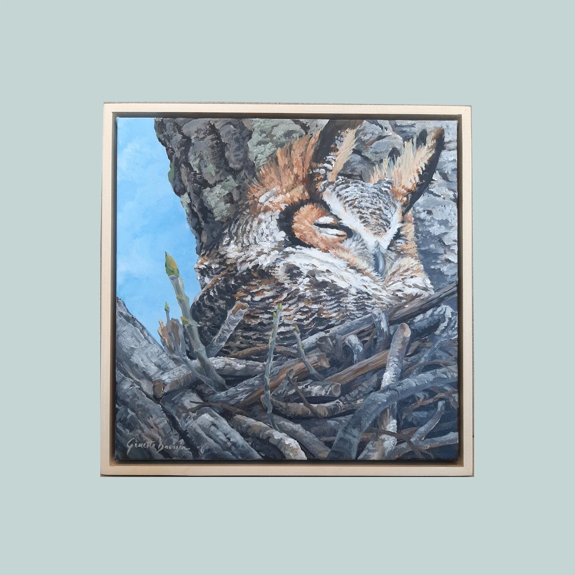 SG000499 - Nesting Great Horned Owl.jpg