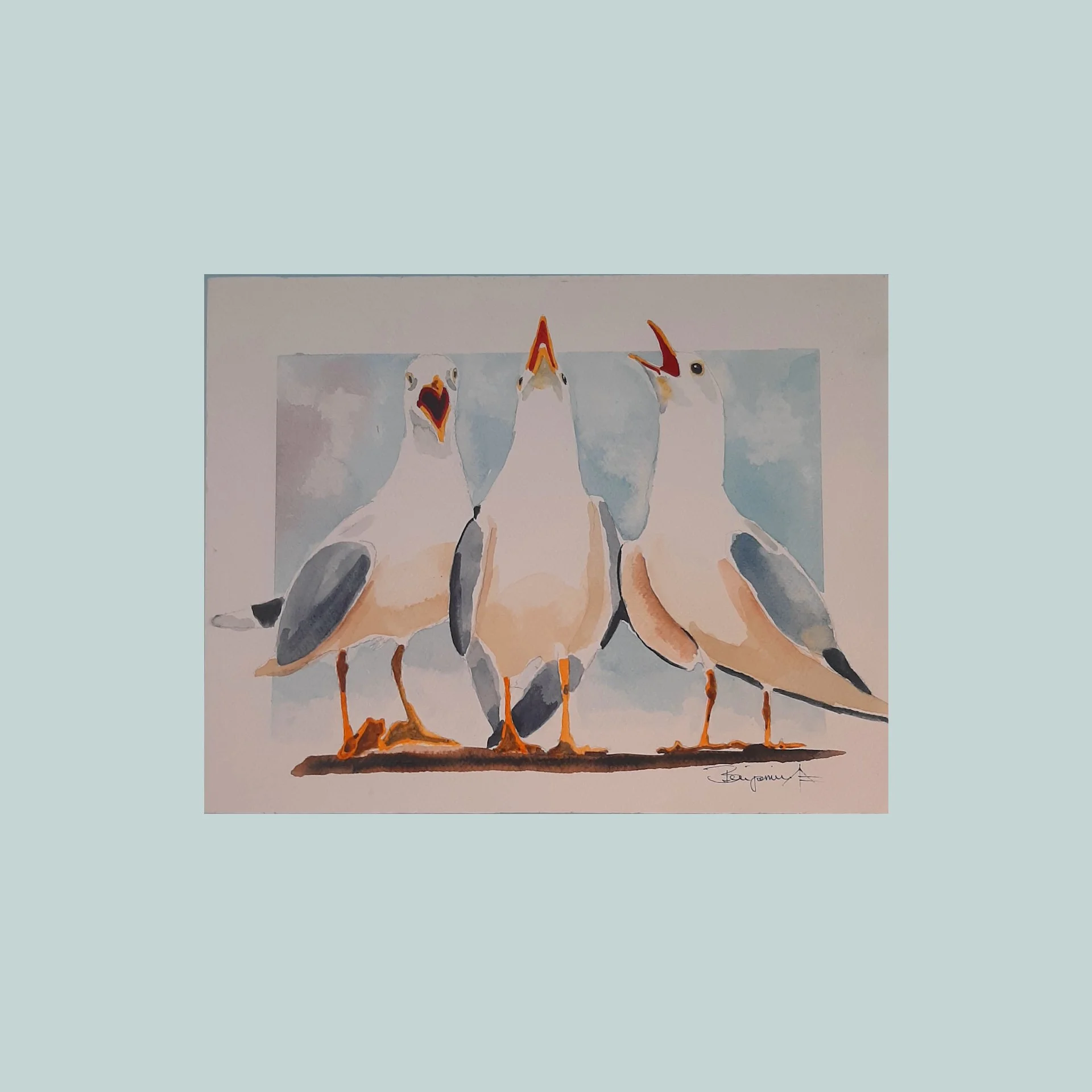 SG000785 - Seagull Serenade.jpg