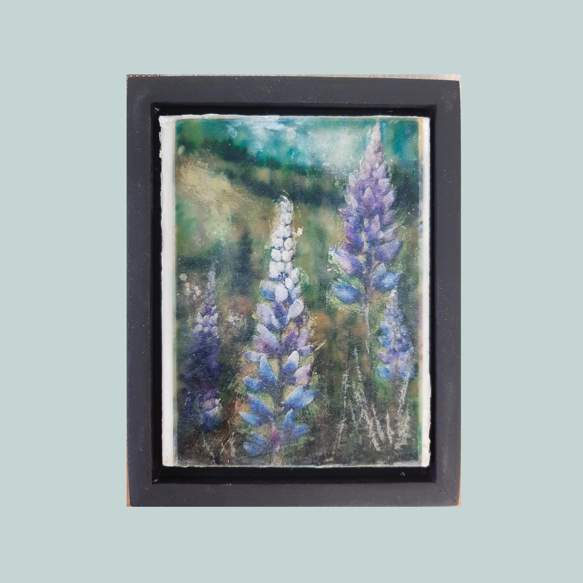 Lupine II