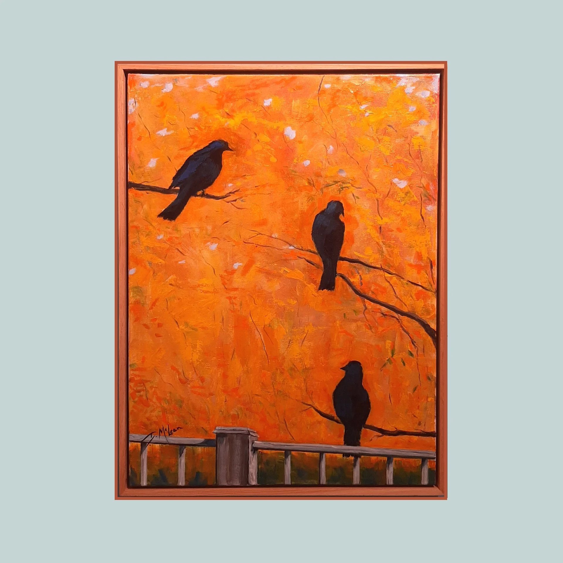 SG000783 - 3 Crows Enjoying a Fall Day.jpg