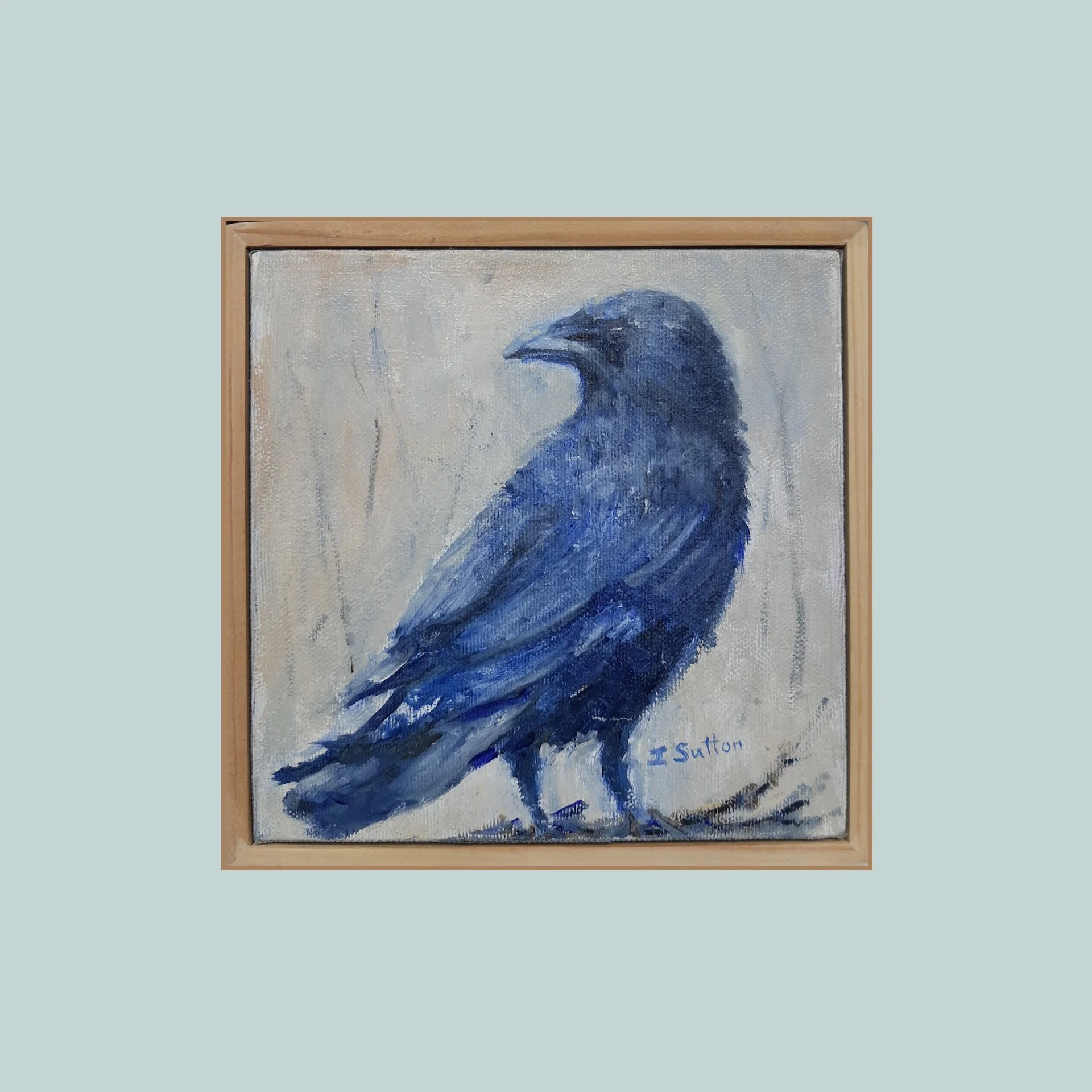 Corvus