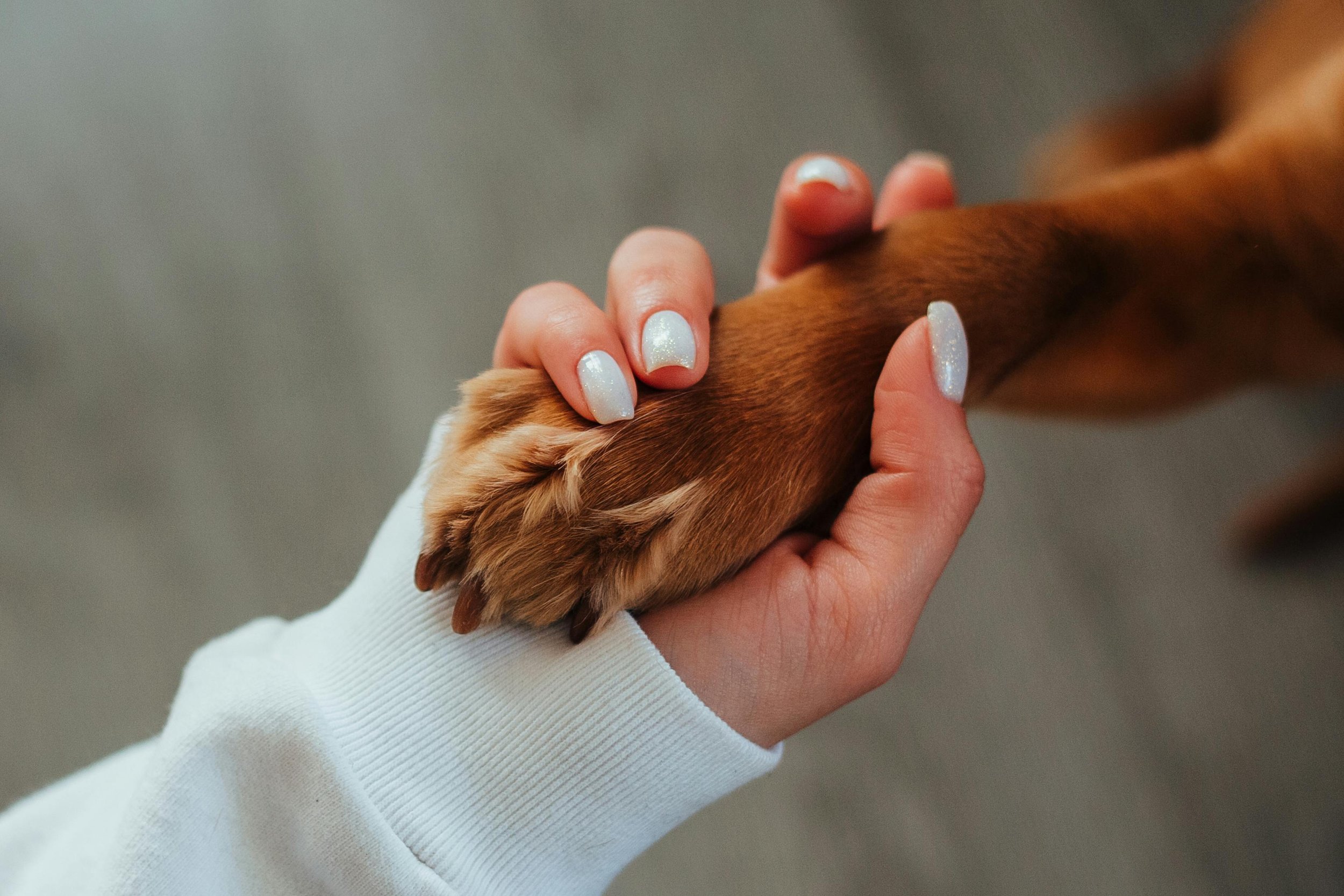 pexels-babydov-7788657.jpg