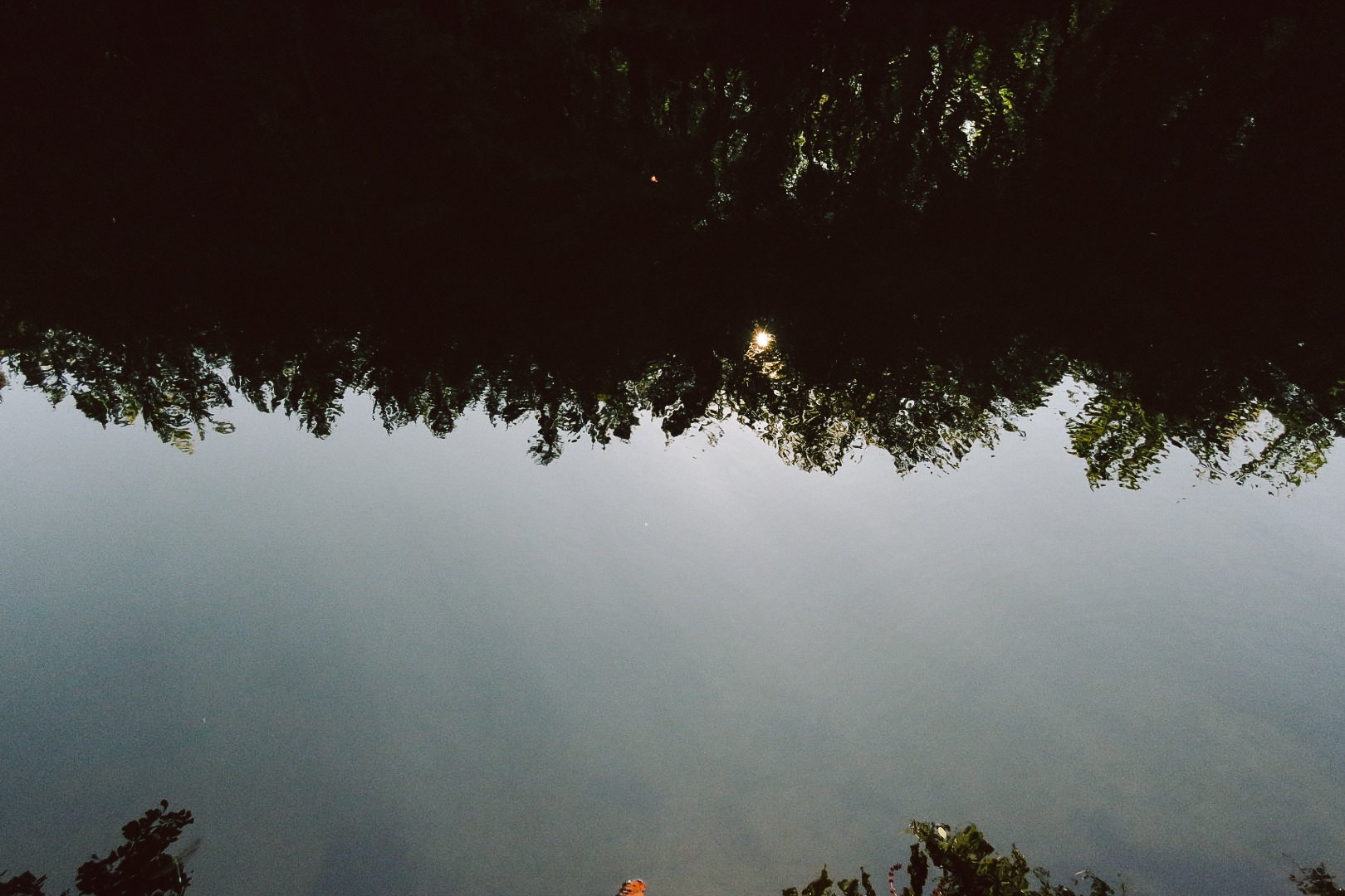 Waldreflexion im See – Perspektivwechsel durch kreatives Coaching Antje Braga