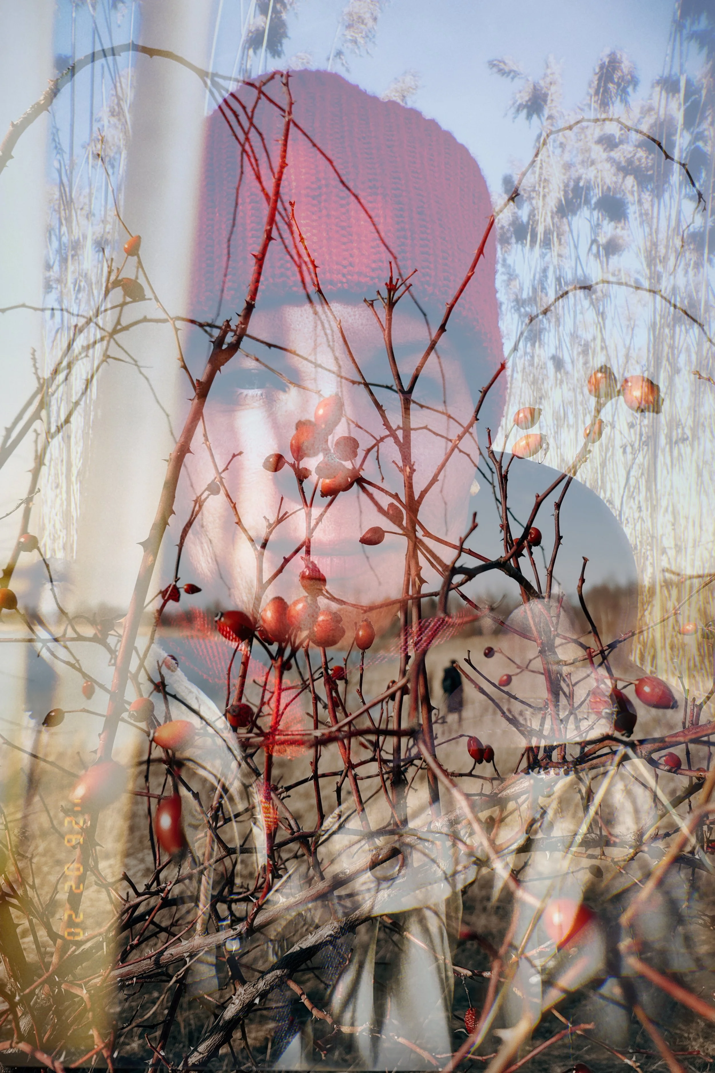 Über Trauer, Trost und Fotografie