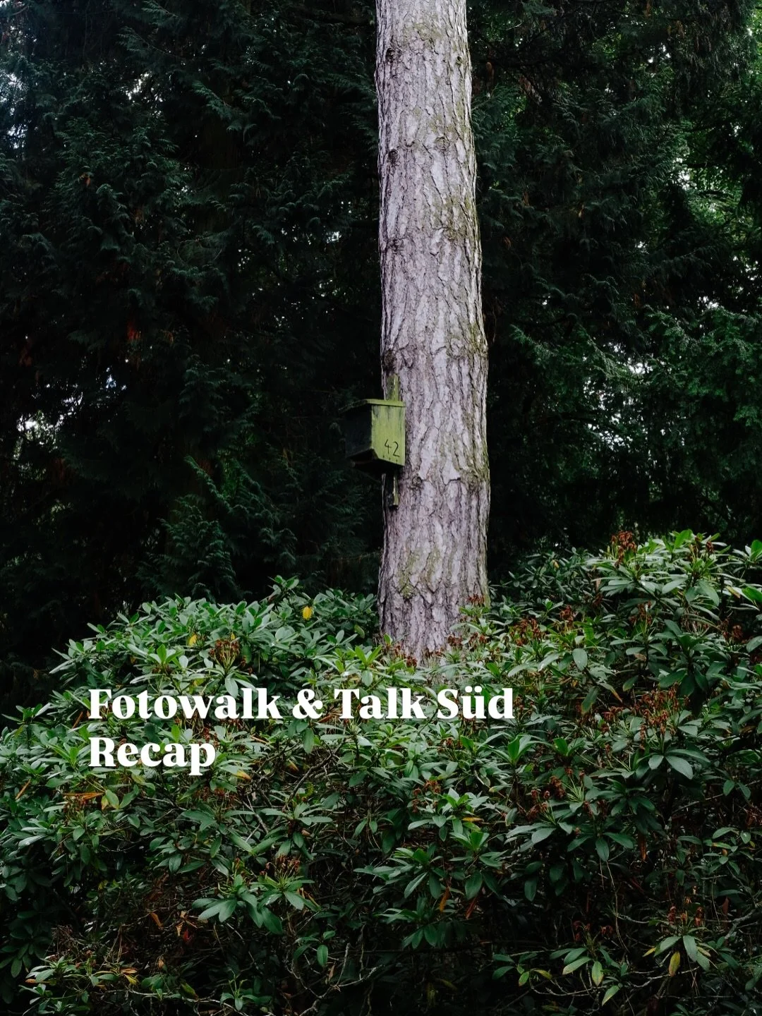 Das war er, der Fotowalk &amp; Talk S&uuml;d am Sonntag. Ein paar Bilder, die ich &ldquo;nebenher&rdquo; machen konnte, immer mit Blick auf die Teilnehmenden, der S&uuml;dfriedhof ist gro&szlig; und bietet viele M&ouml;glichkeiten sich im Dickicht zu