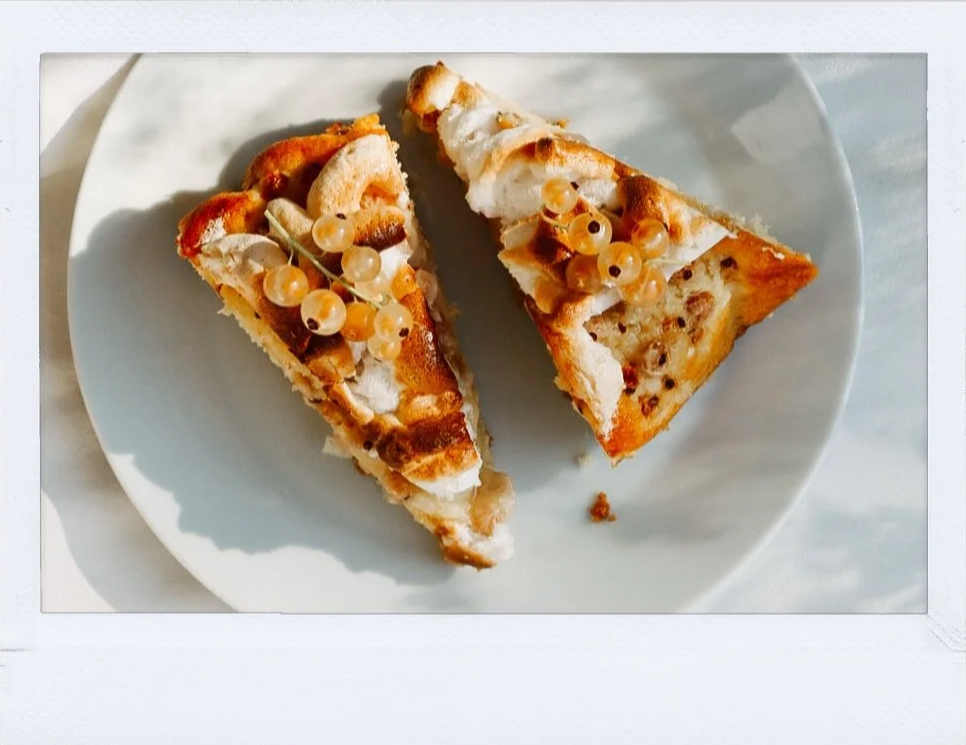 Antje Braga Newsletter - Johannisbeerkuchen– Fotografie und kreative Inspiration Leipzig