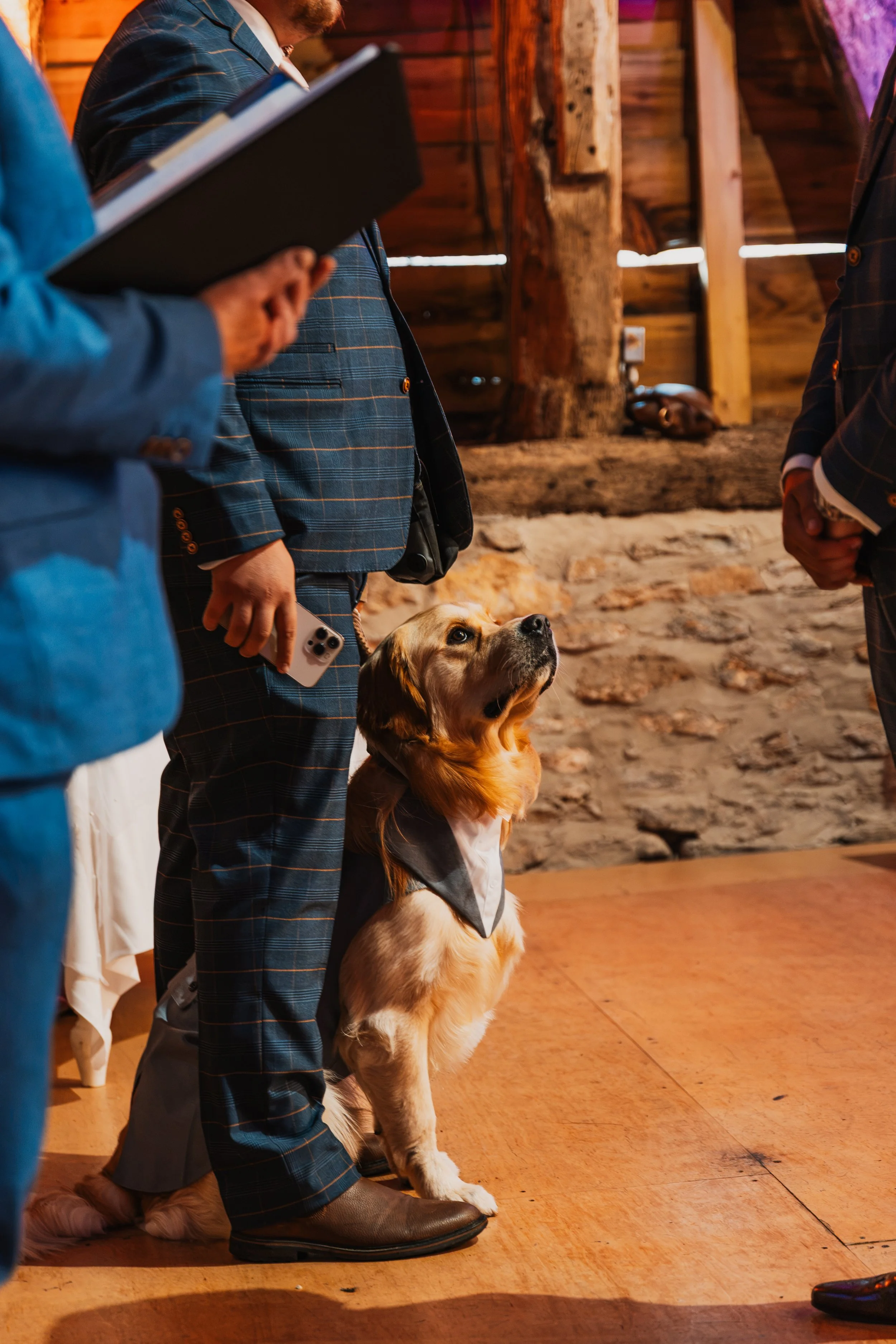 A dog in a tuxedo looking up at a group of people dressed in suits, gathered indoors with wooden walls and floor.