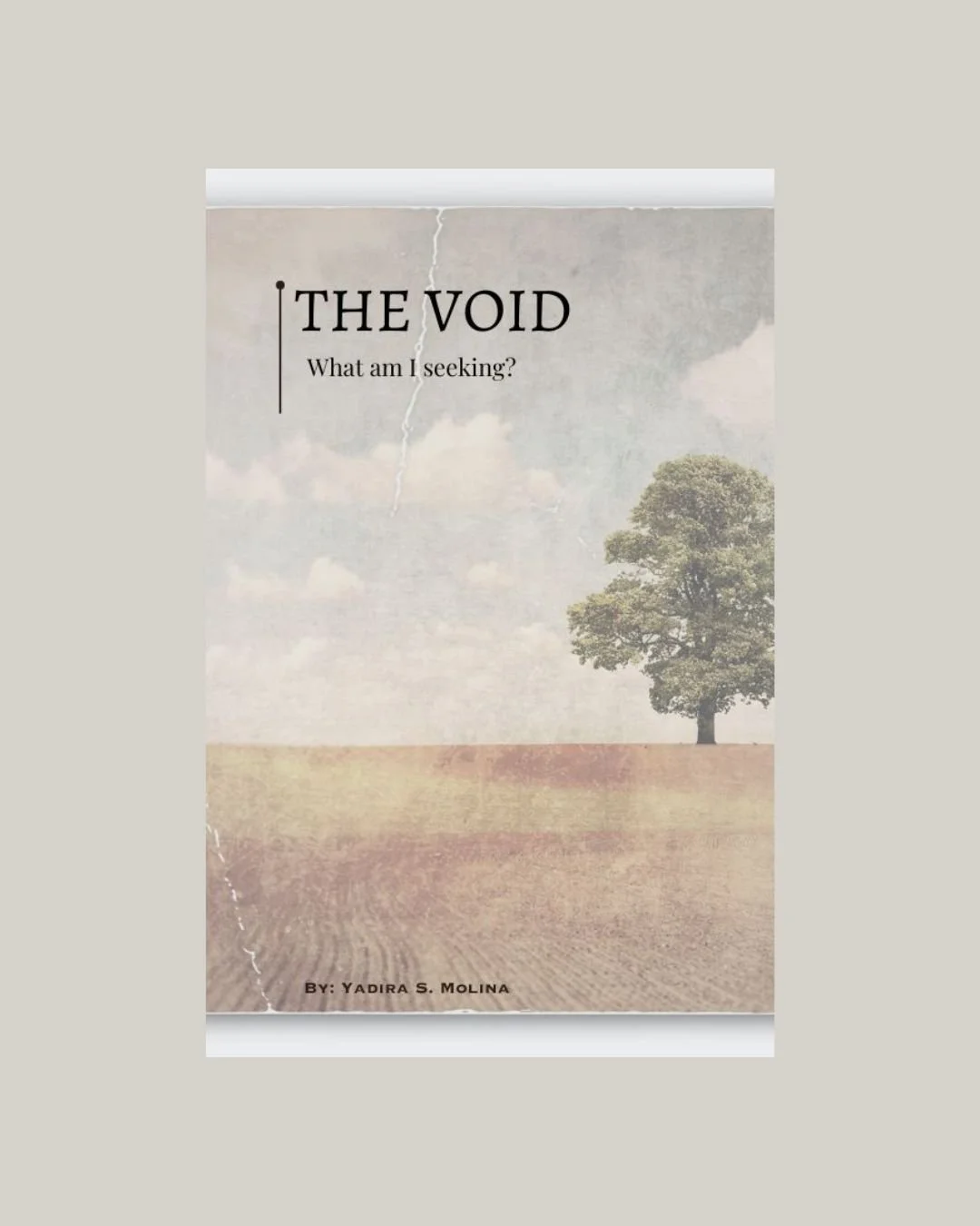 The void