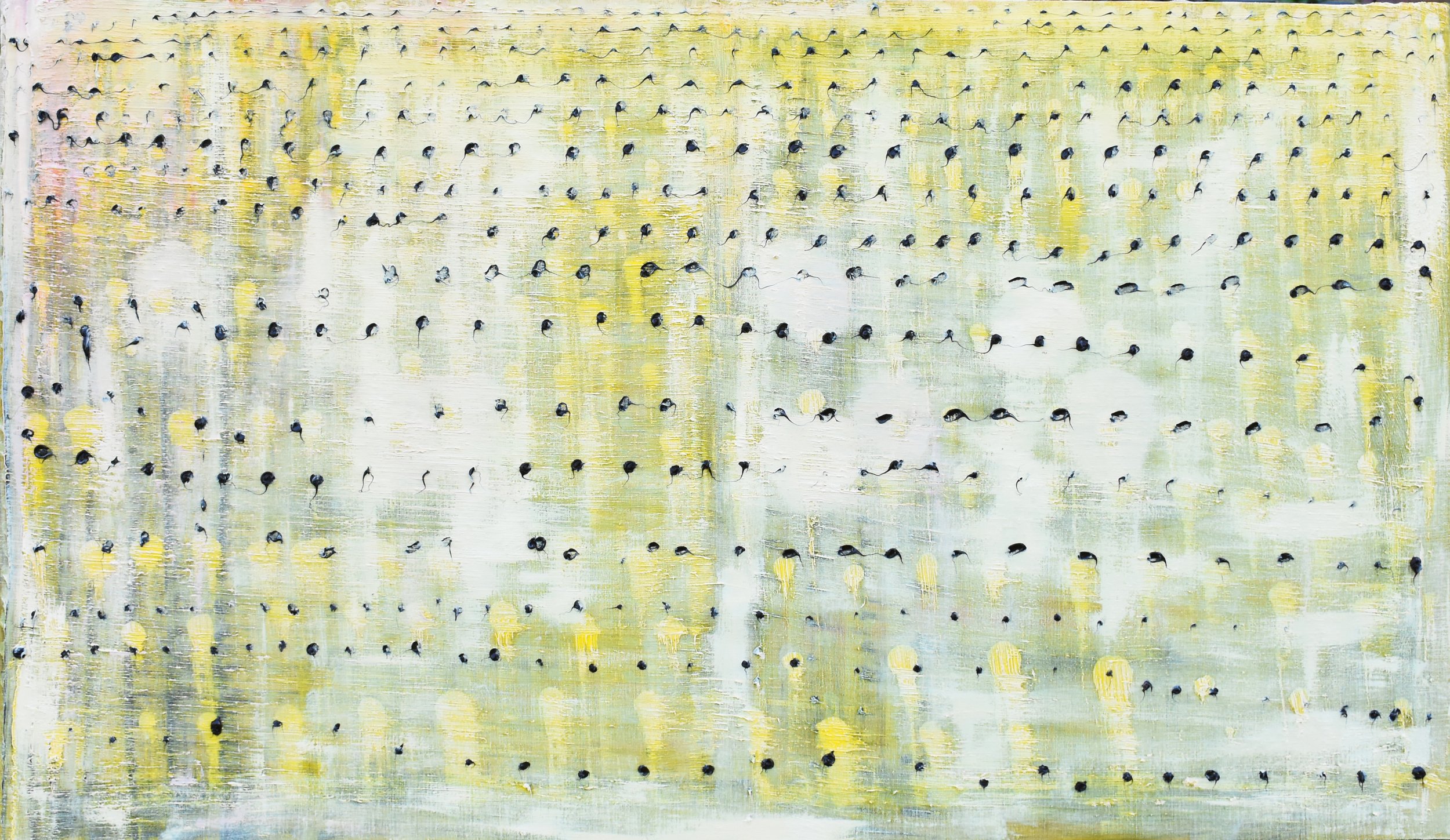 COVADONGA CASTRO
Point Jaune, Oil on linen
80 x 140 cm