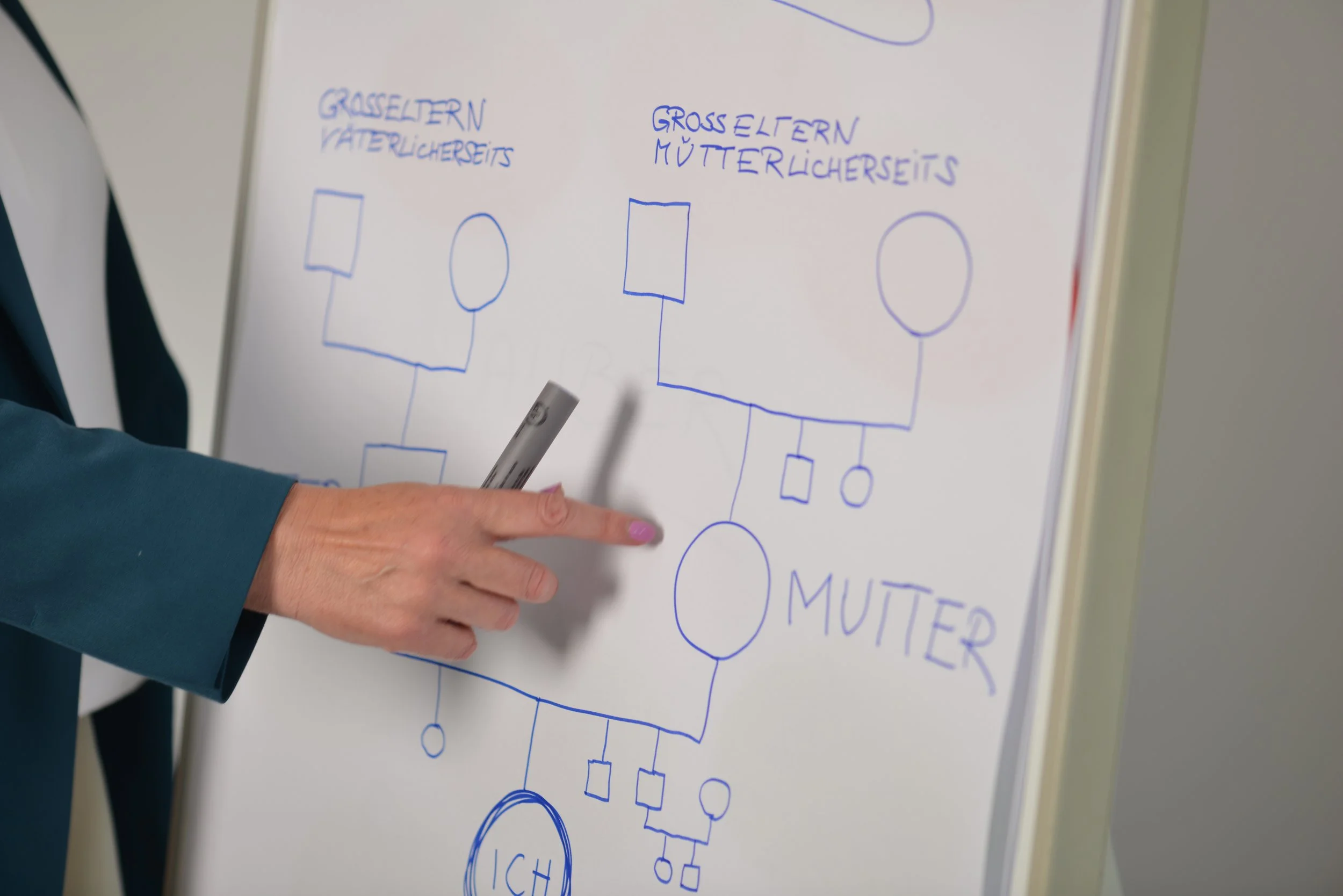 Genogramm für Familienaufstellung in Hamburg am Beispiel eines erweiterten Familienstammbaumes