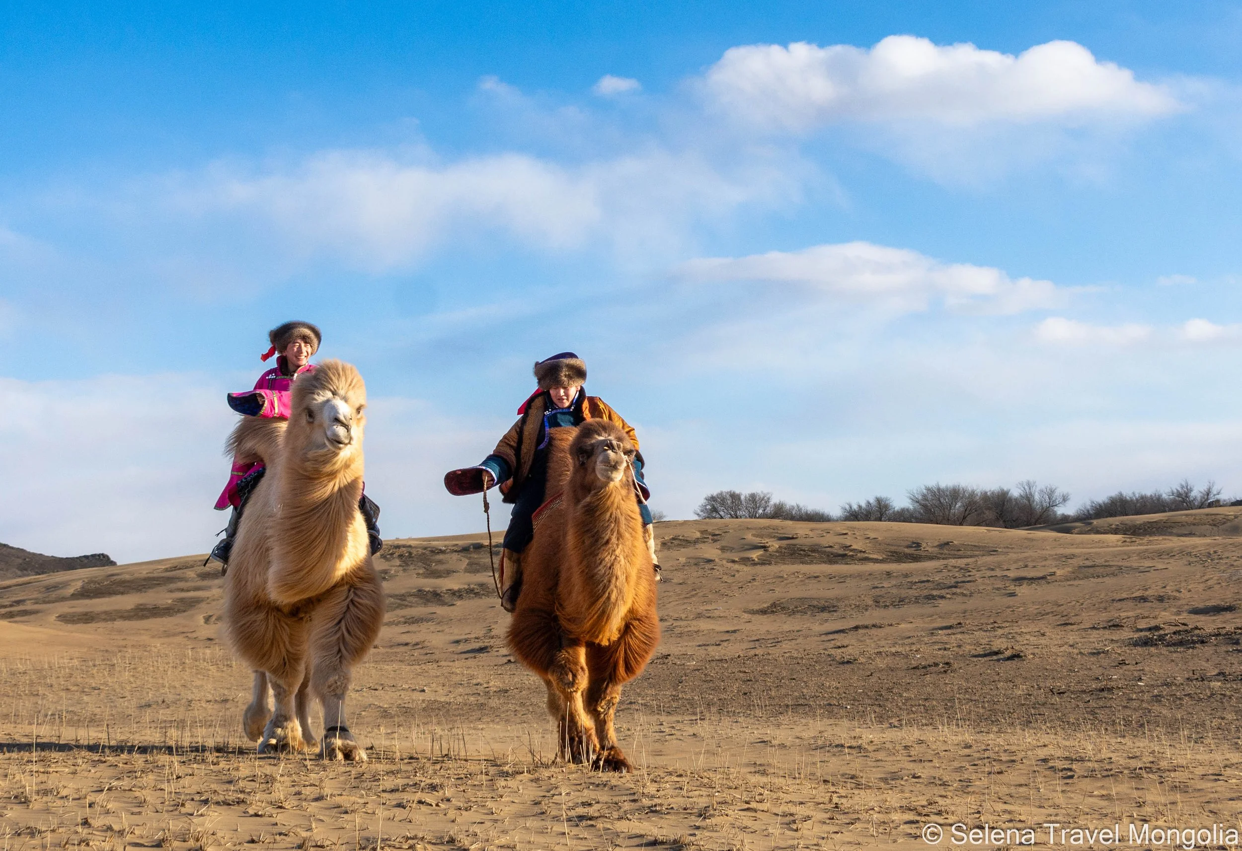 At elsen Tasarkhai Bayangobi_DSC2878.jpg