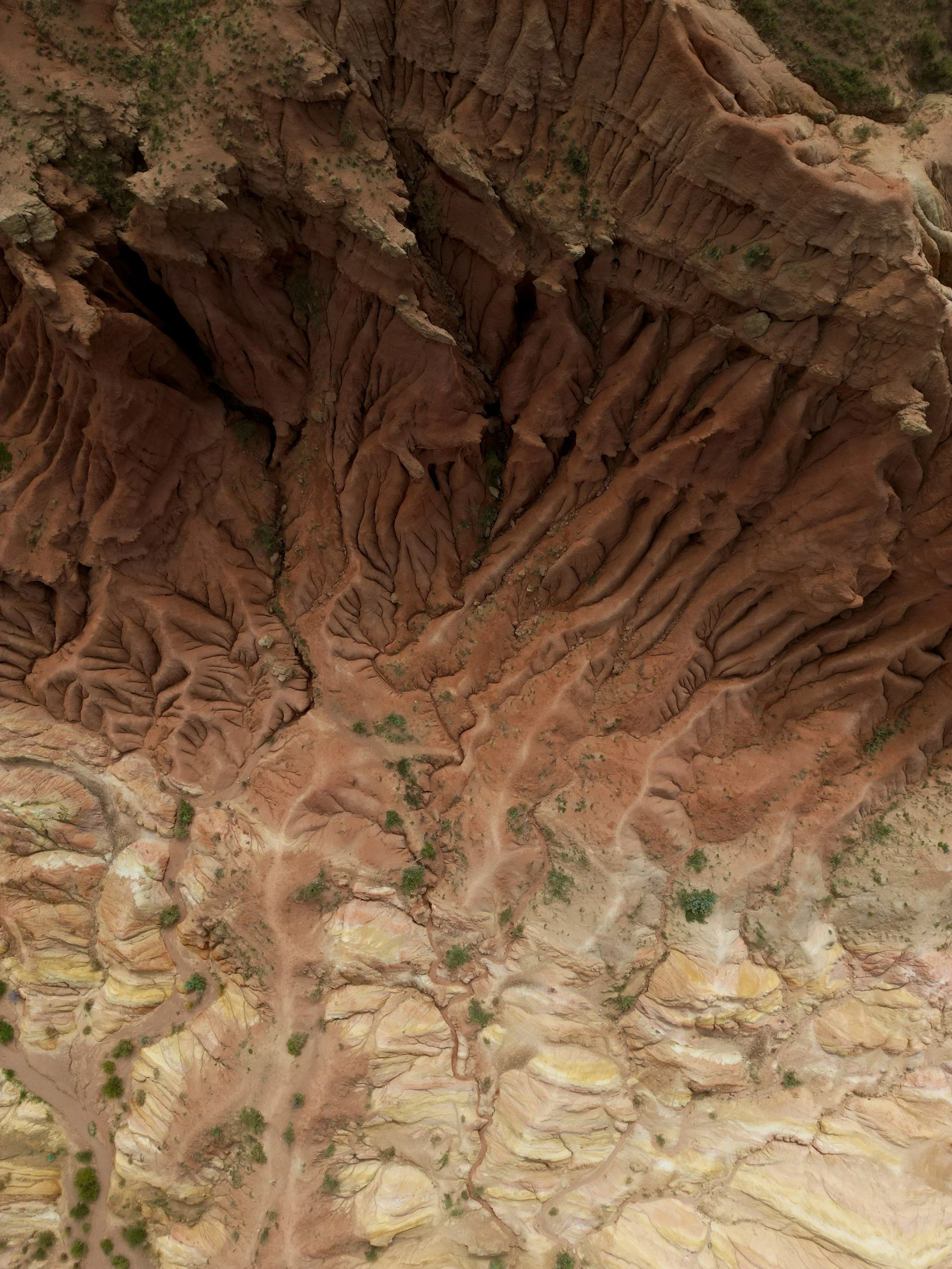 dji_fly_20240922_121026_337_1726991656250_photo.JPG (Copy)