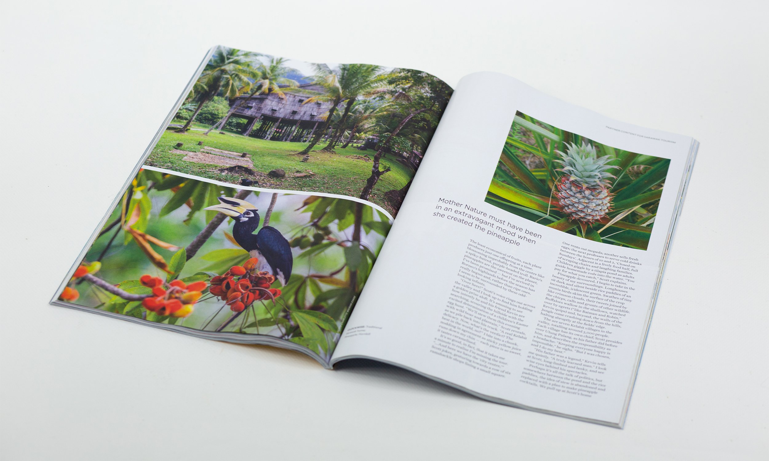 NGT_Mags_0005_Grace_Abell_Portfolio-61.jpg