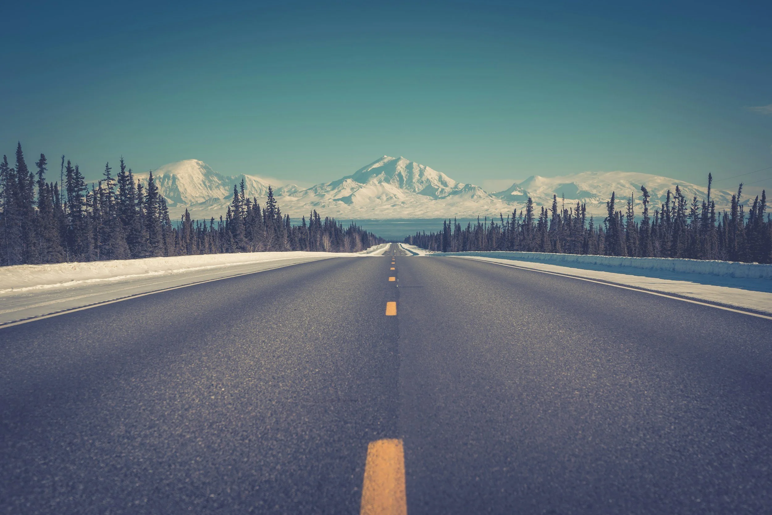 Coming Home: My Journey Back to Alaska