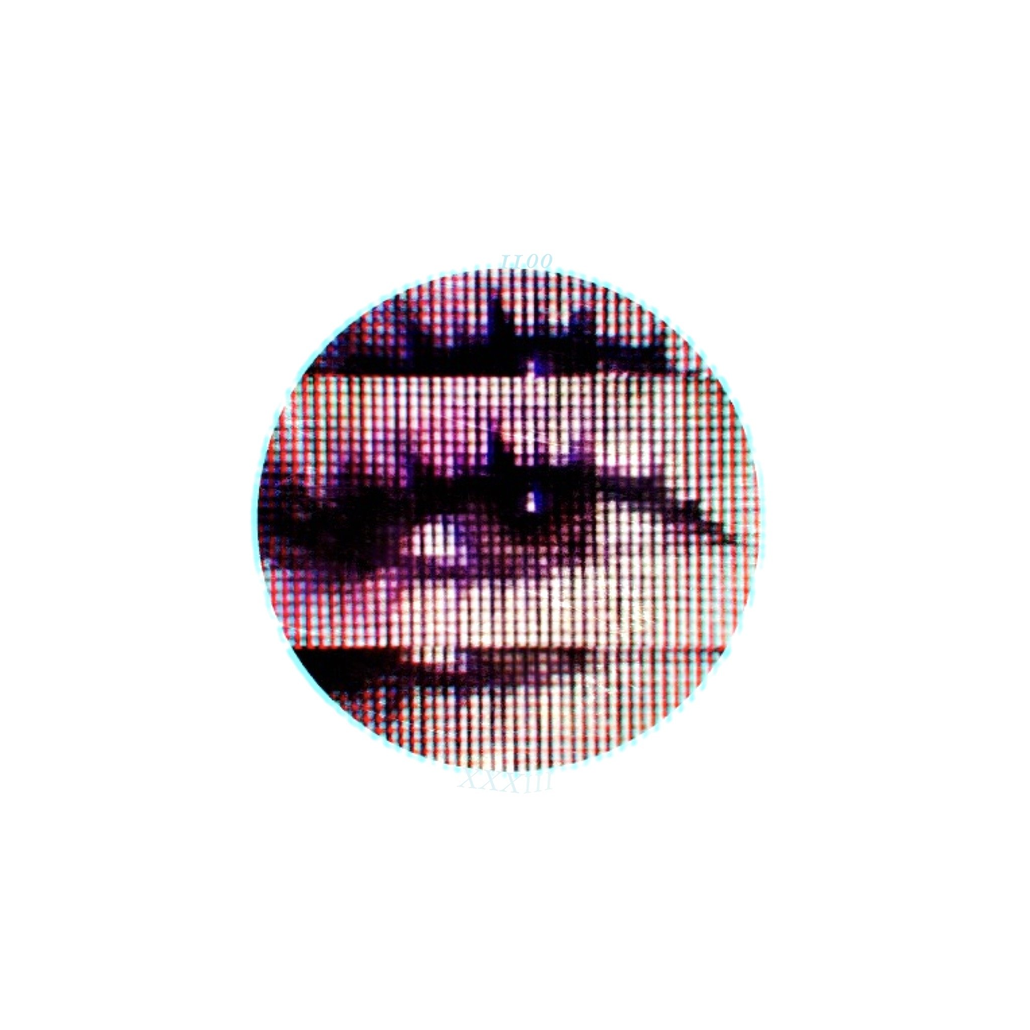 IMG_1446.jpeg