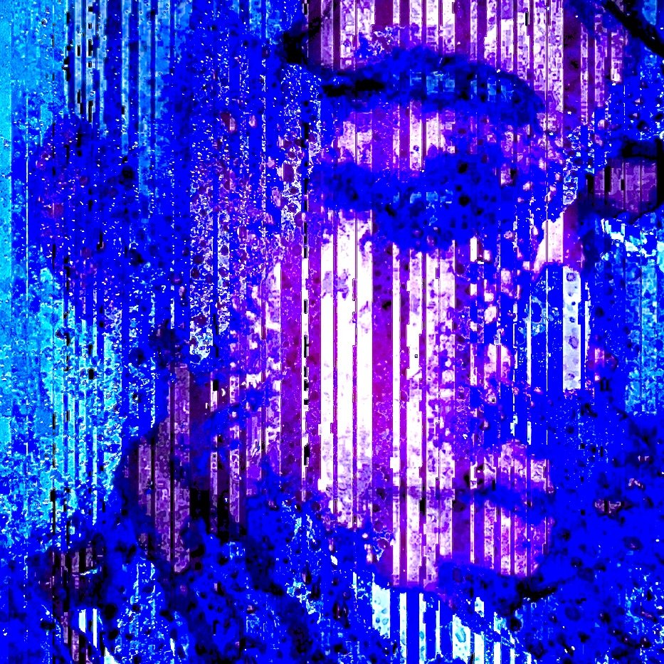 IMG_0039.jpeg