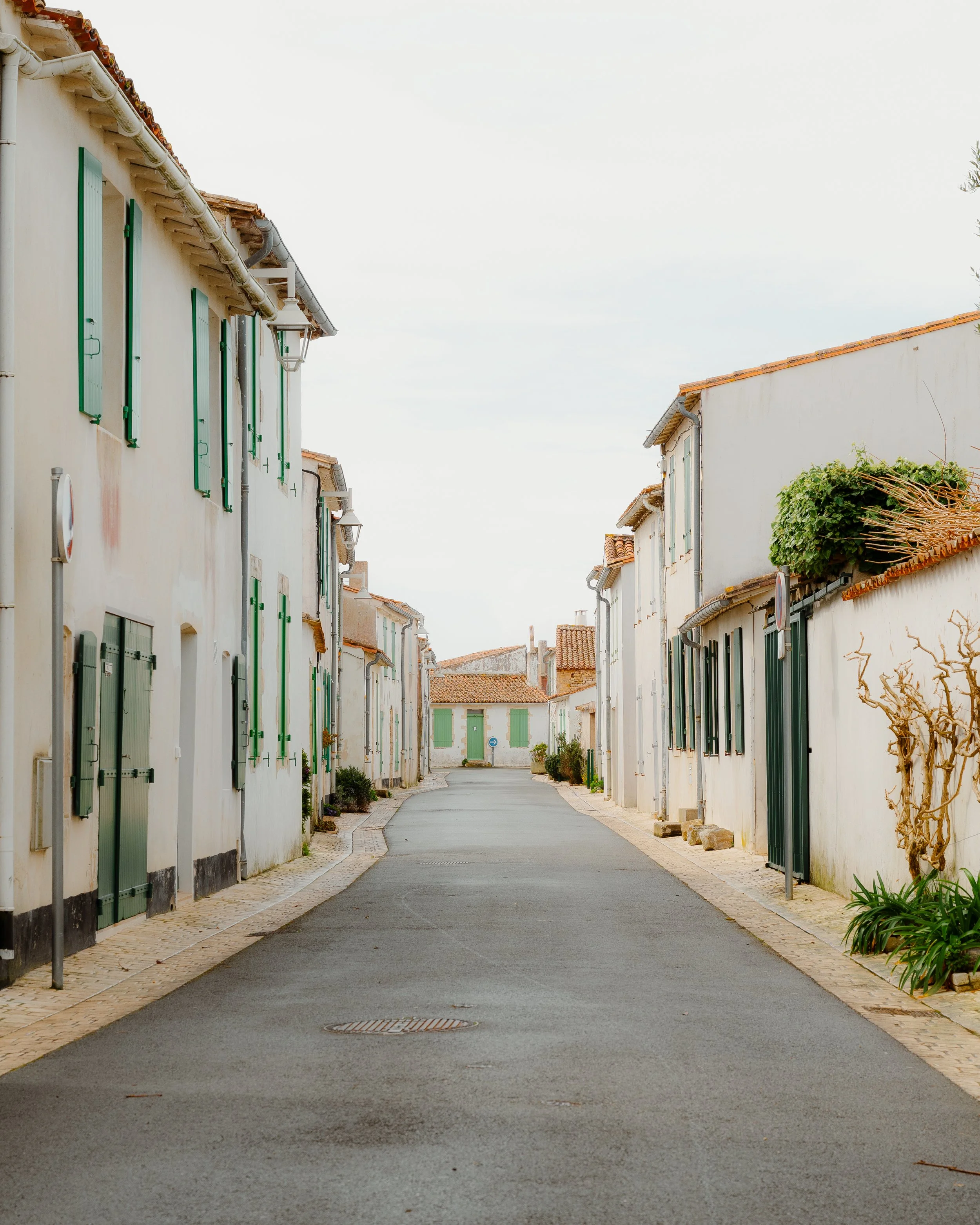 A quiet narrow street lined with old white buildings with green shutters and doors, some with small plants, under an overcast sky.