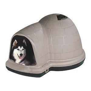 Pet Supplies
