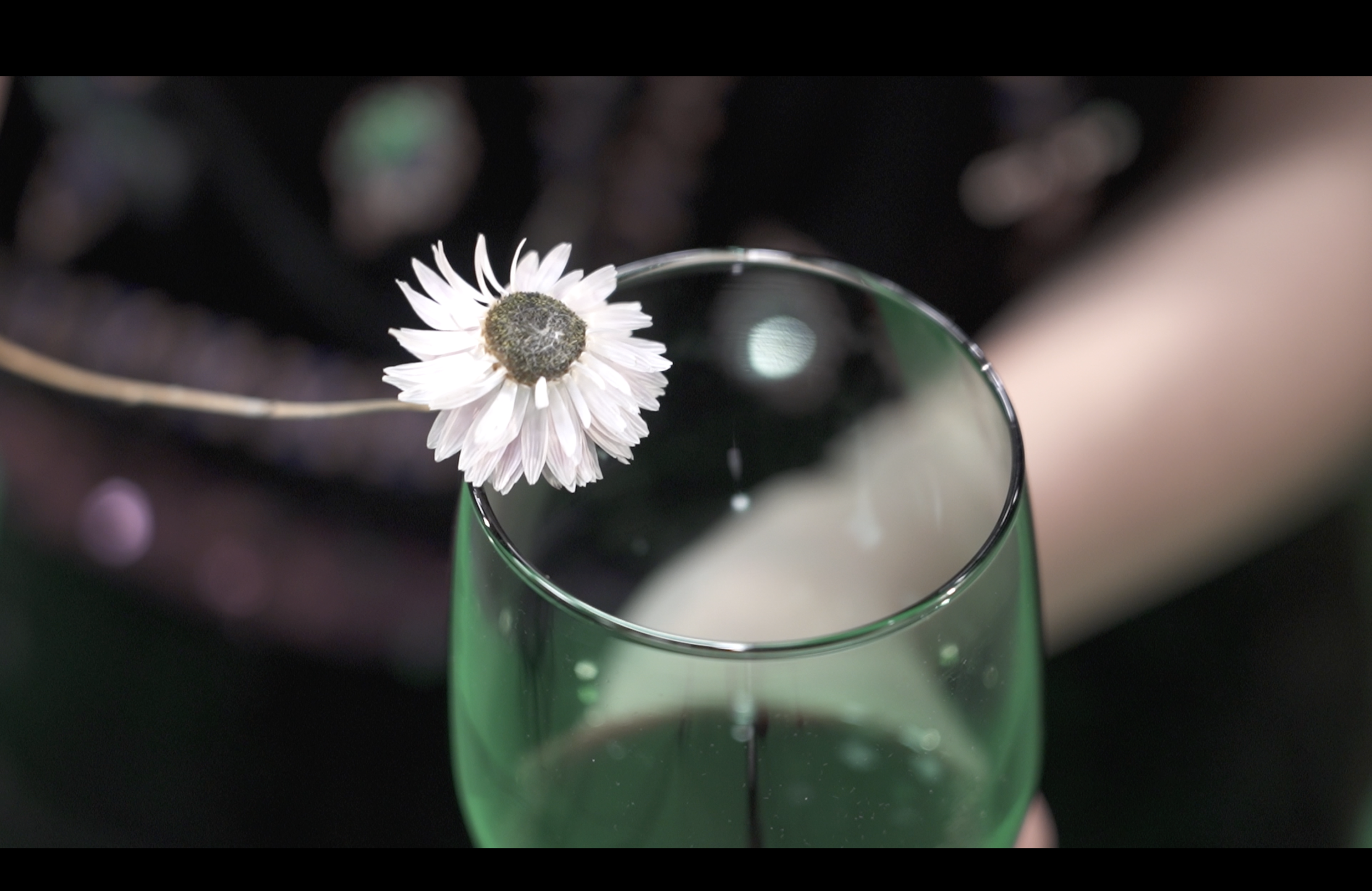 Screenshot 2025-03-18 at 5.57.48 PM.png