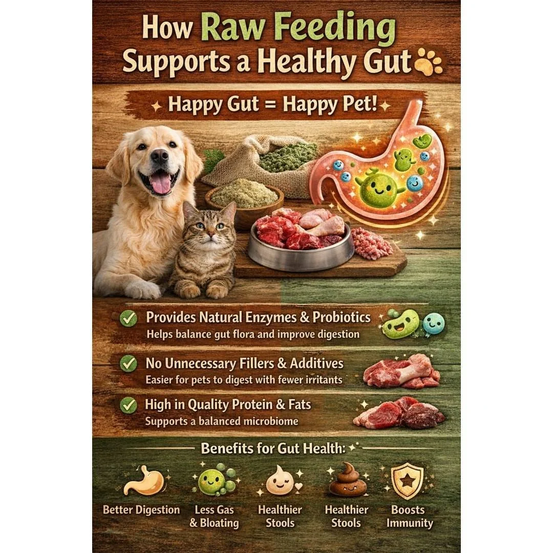 🦴 Happy Tummy, Happy Pet: How Raw Feeding Supports a Healthy Gut

A healthy gut is the foundation of your pet&rsquo;s overall wellbeing, and diet plays one of the biggest roles in keeping their digestive system functioning properly. Feeding a natura