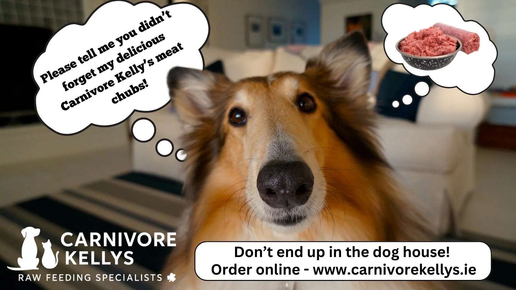 🐶 Did someone say delivery&hellip;? 

He heard the door.
His ears are up.
His tail is ready.

Now there&rsquo;s only one question on his mind&hellip;
&ldquo;Please tell me they didn&rsquo;t forget my delicious Carnivore Kelly&rsquo;s meat chubs&hell