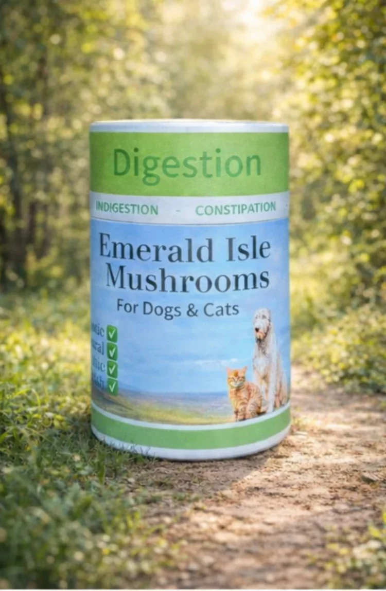 Carnivore Kellys - Emerald Isle Mushrooms for pets  - Digestion
