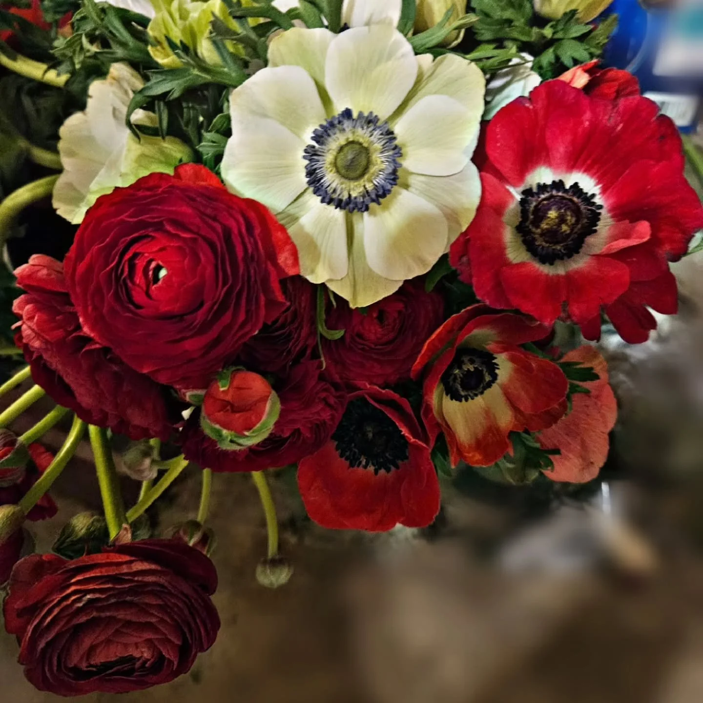 Two of.my favorite children, Ranucs and Anemones. Red.color so bold,you can almost taste it! Why must I love expensive things?! 🤦🏼&zwj;♀️

#firstworldproblems #dfwflorals #planotx