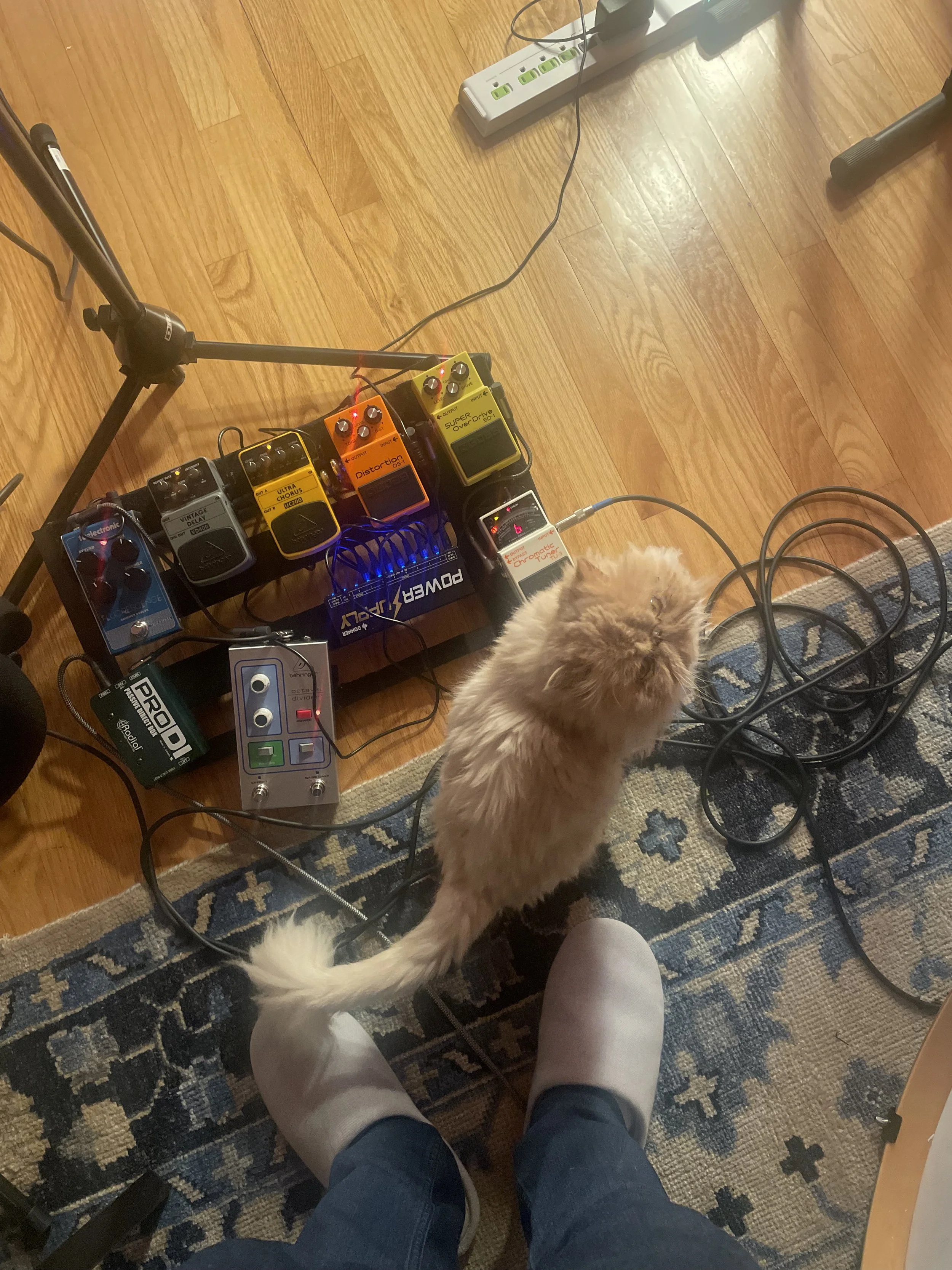 bloggerupper 2: continuity