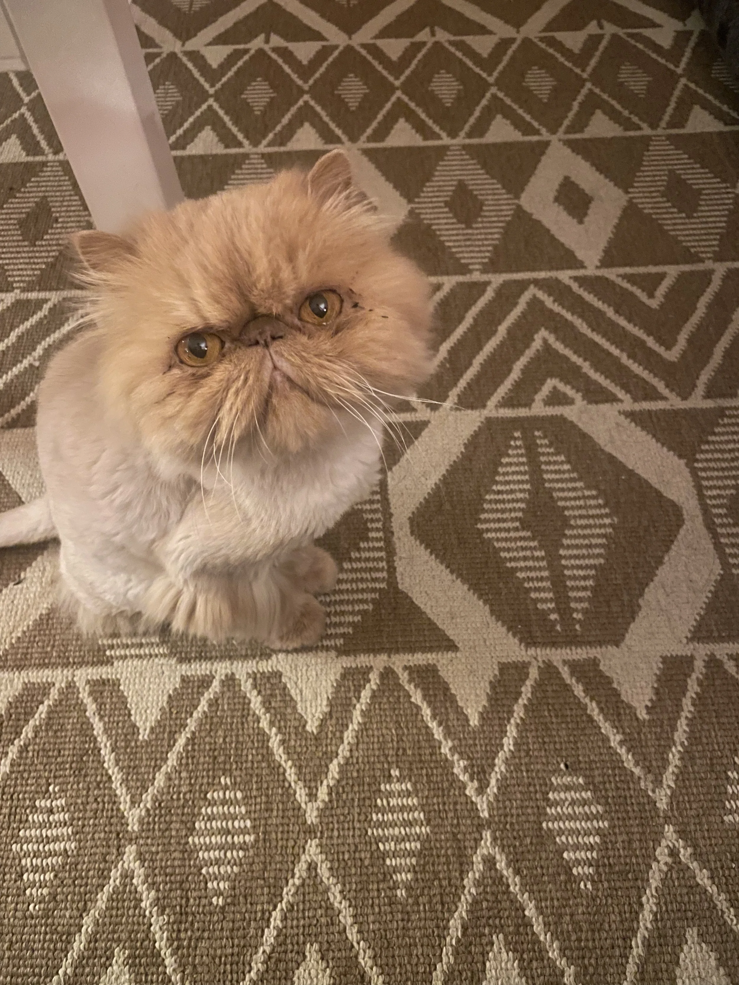 bloggerupper 6: marching along/bandcamp friday