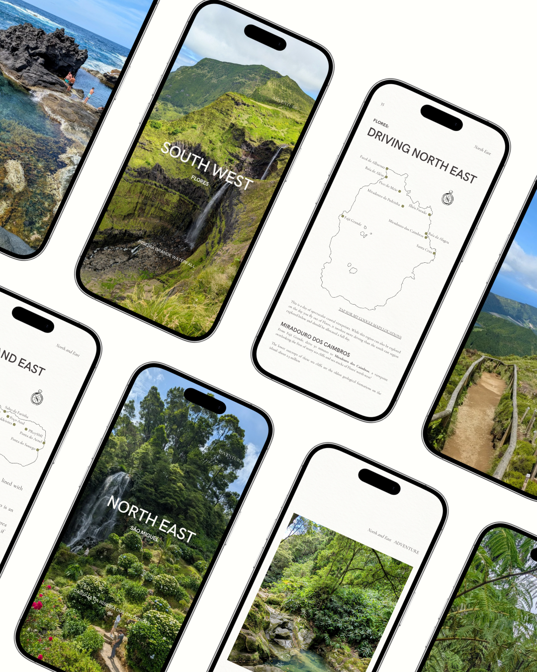 Website - Images.png