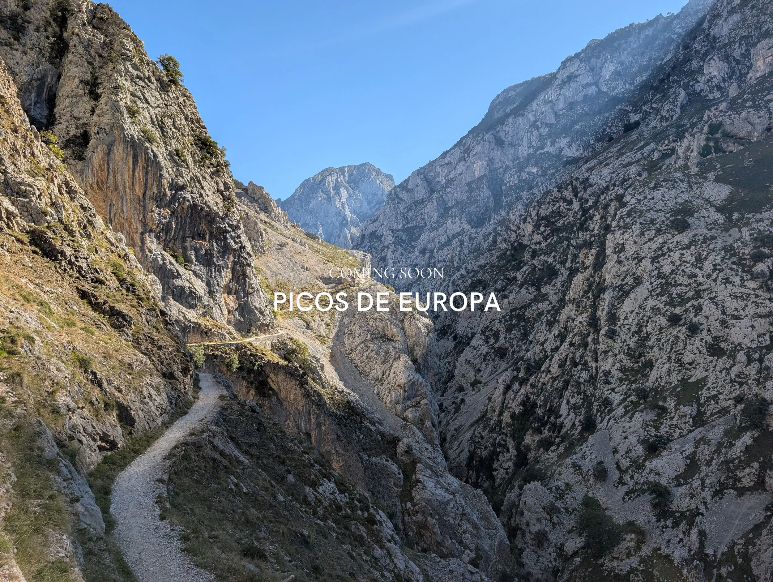 COMING SOON CINQUE TERRE.jpg