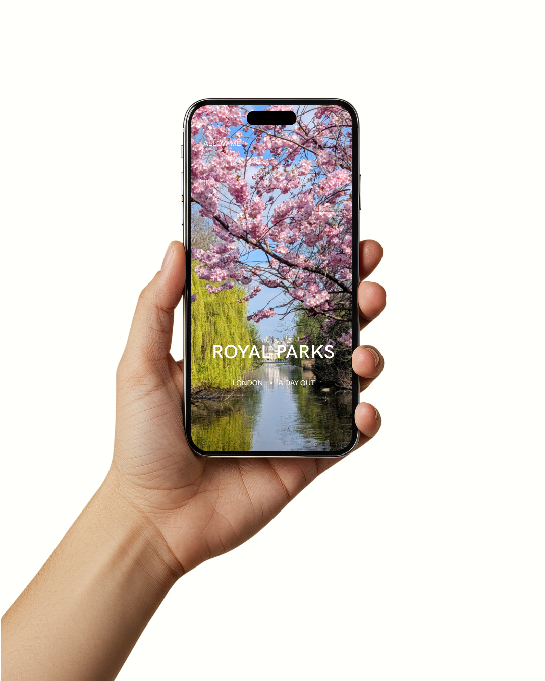 Website - Images (1).png