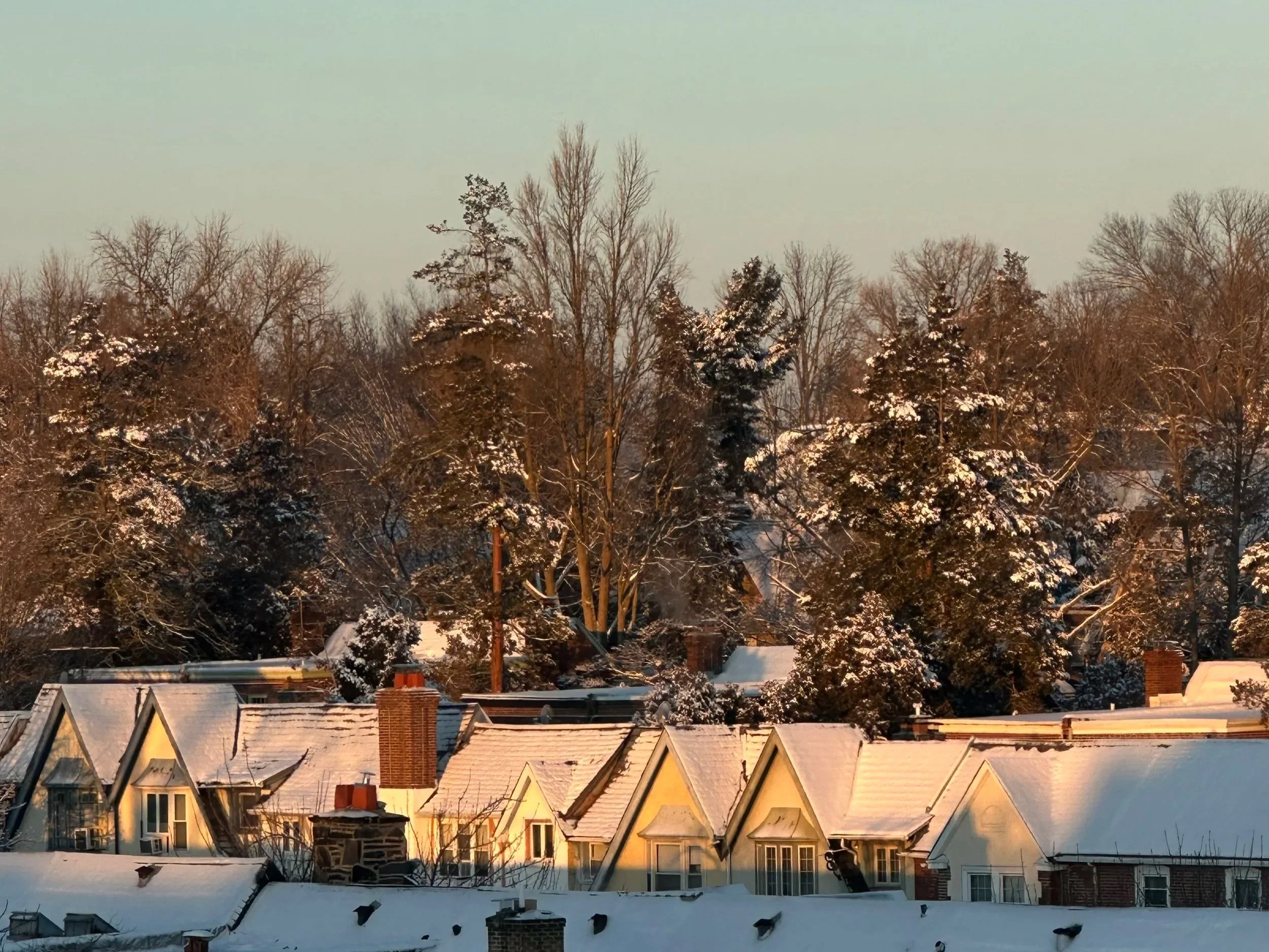 No Tears Left to Cry