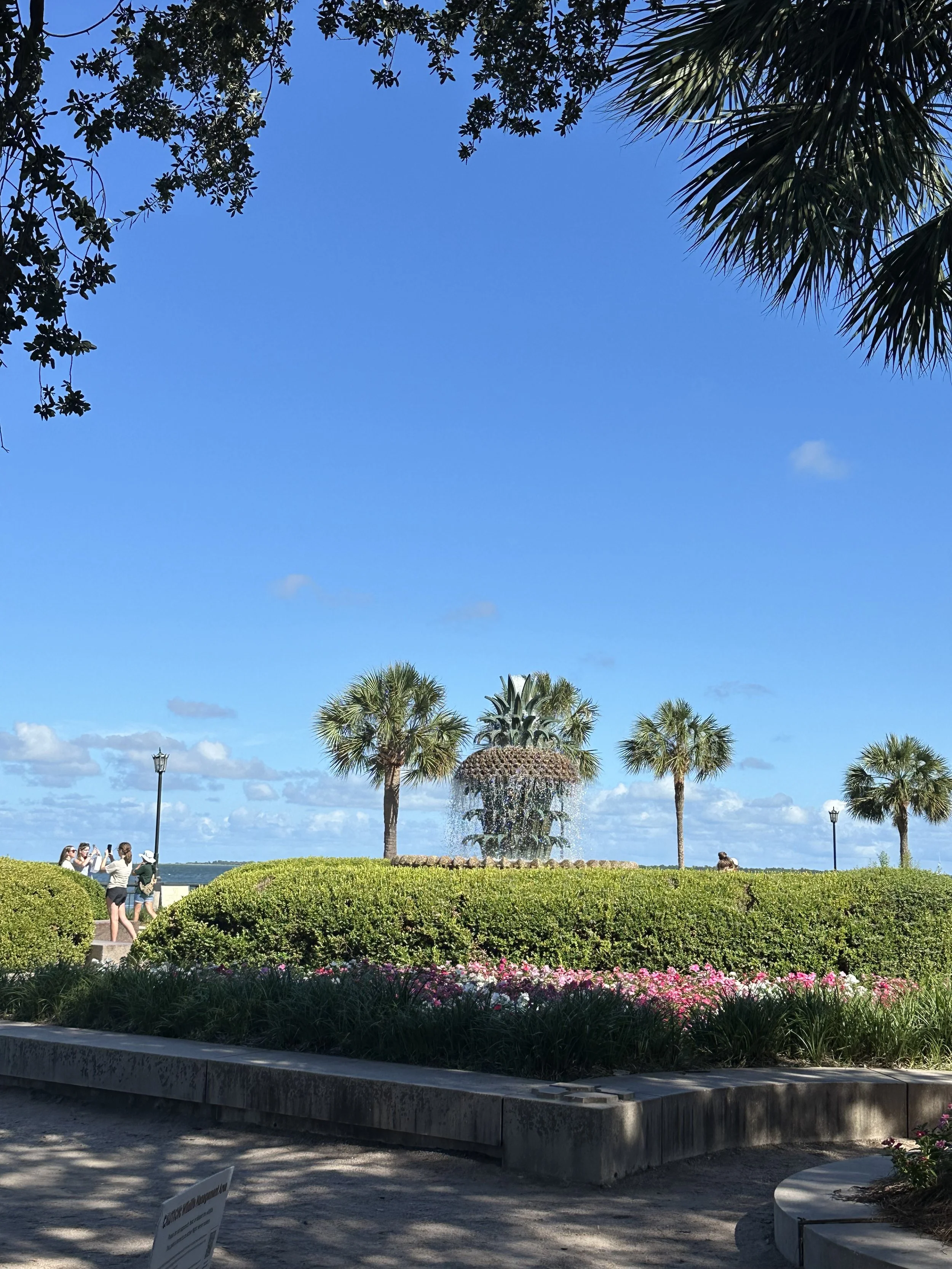 IMG_1429.jpeg