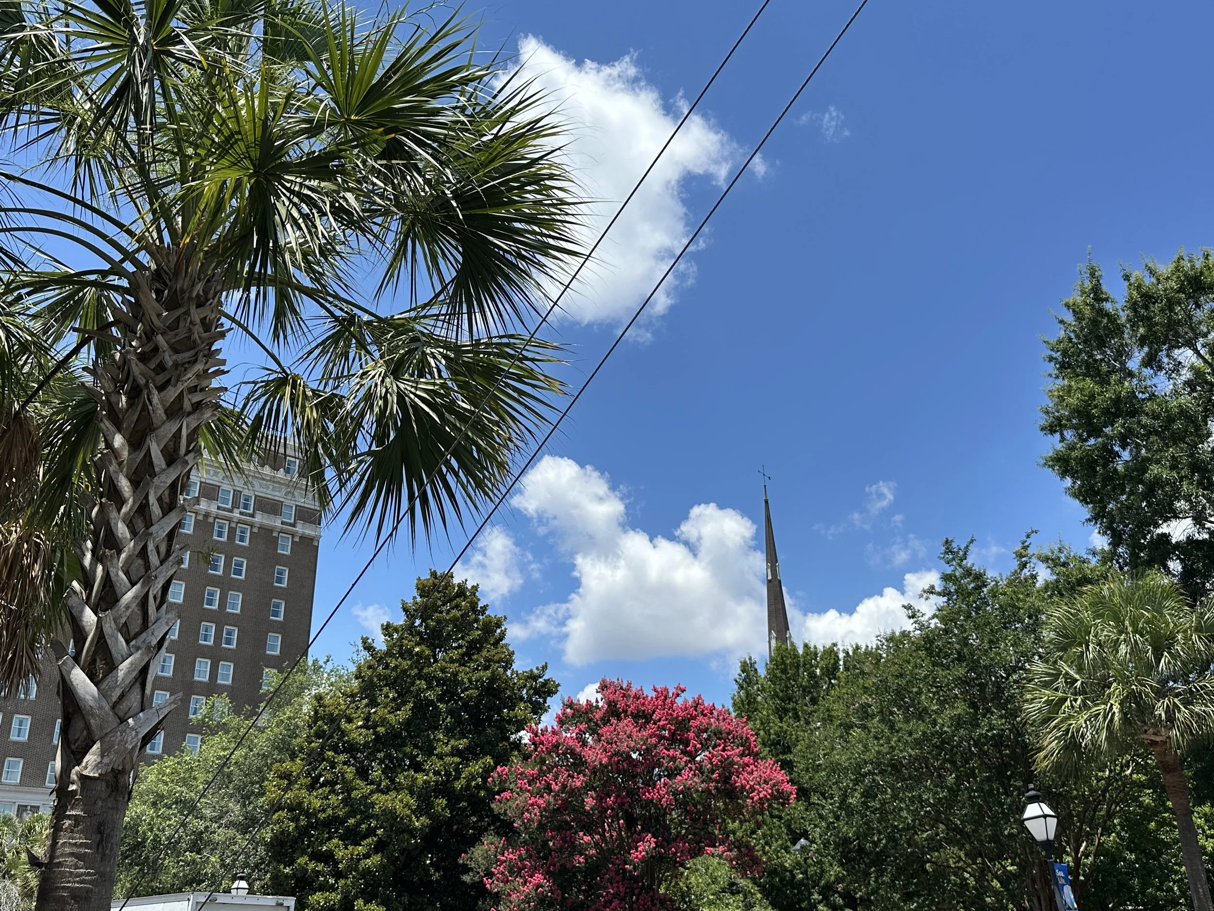 IMG_1295.jpeg
