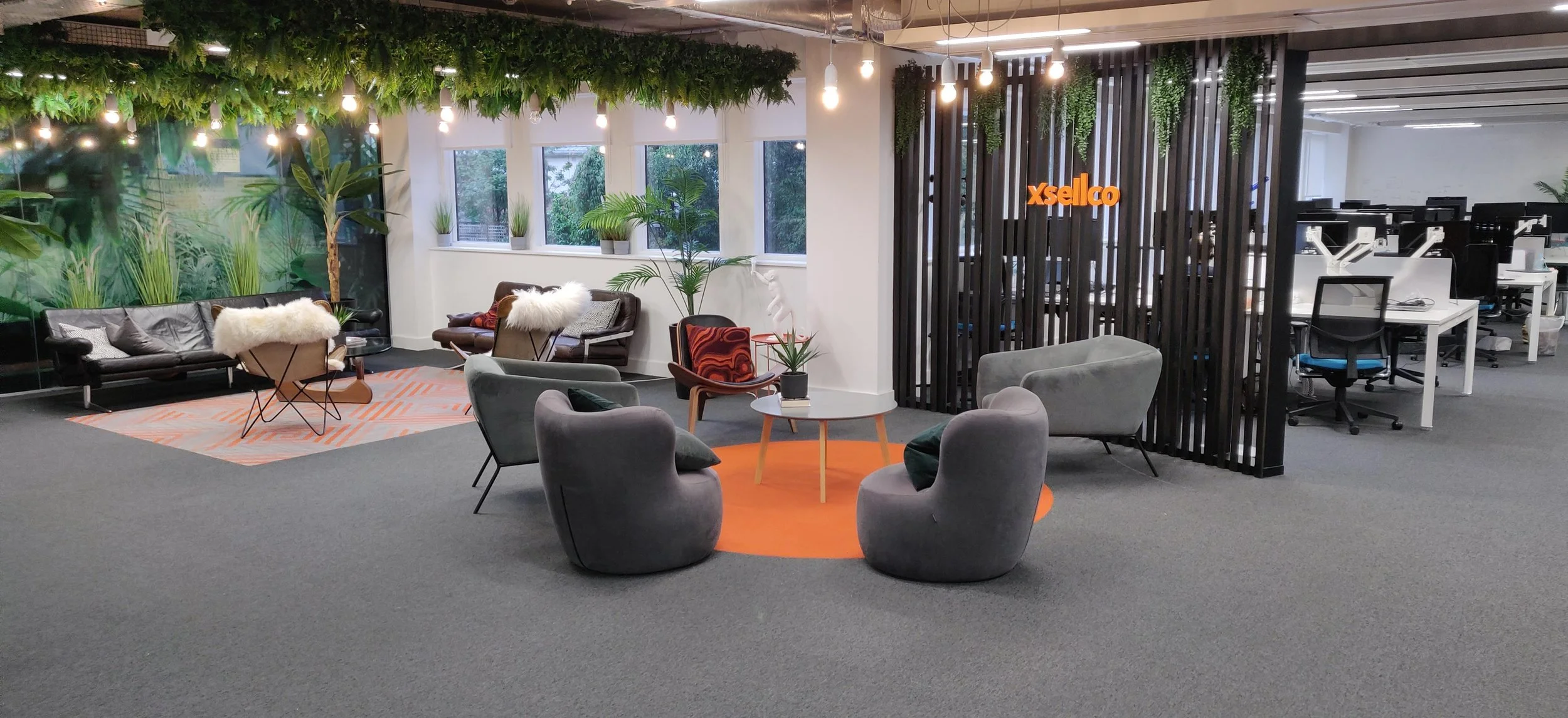 Oranssi previous project