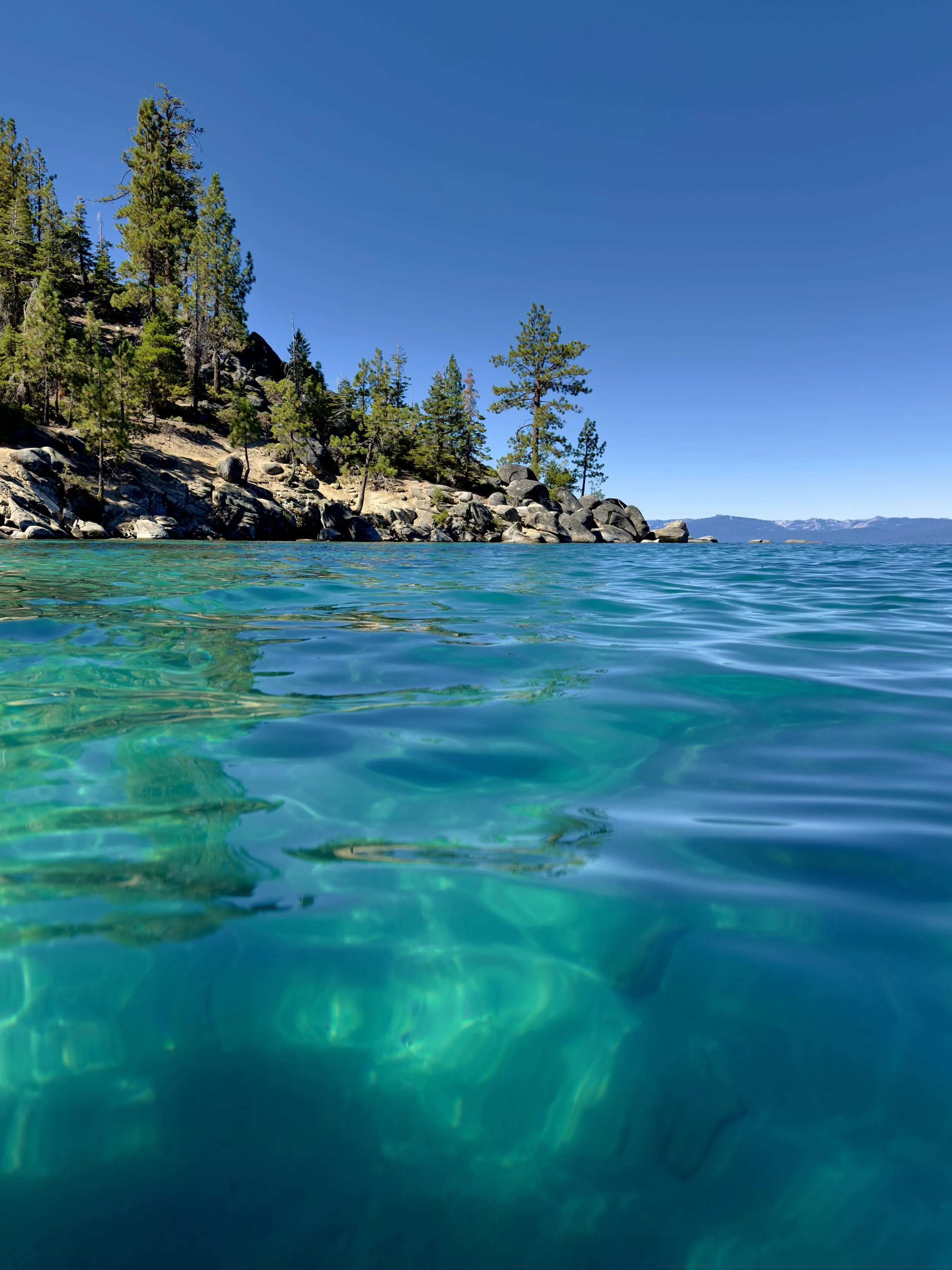 Tahoe Teal