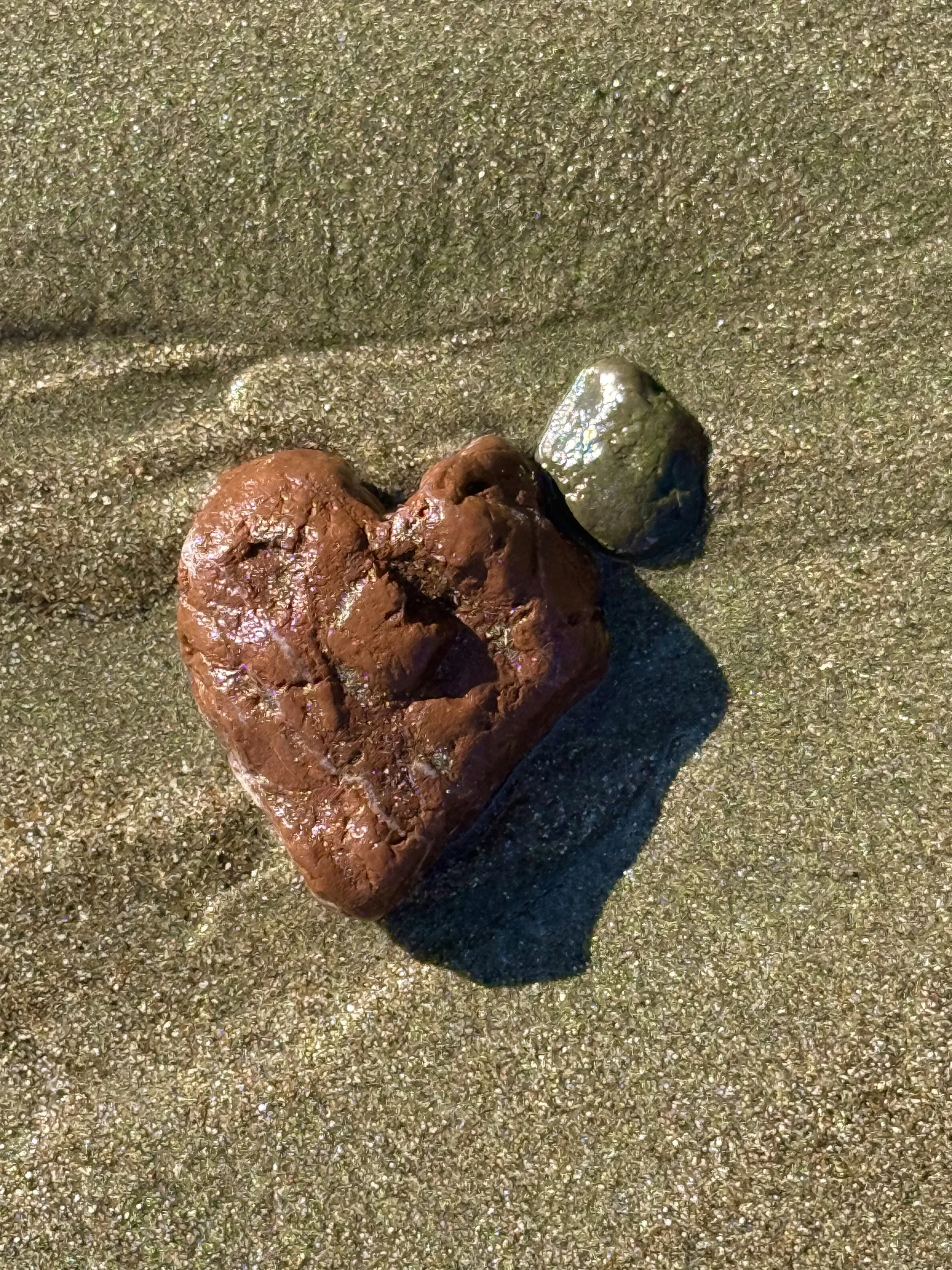 2026 feb 2 Beach Love 12 mp  IMG_1224.jpeg