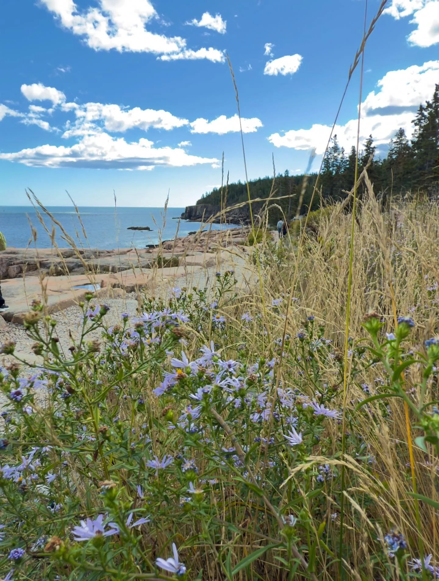 &ldquo;Love and faithfulness meet together; righteousness and peace kiss each other.&rdquo;
‭‭Psalms‬ ‭85‬:‭10‬ ‭NIV‬‬