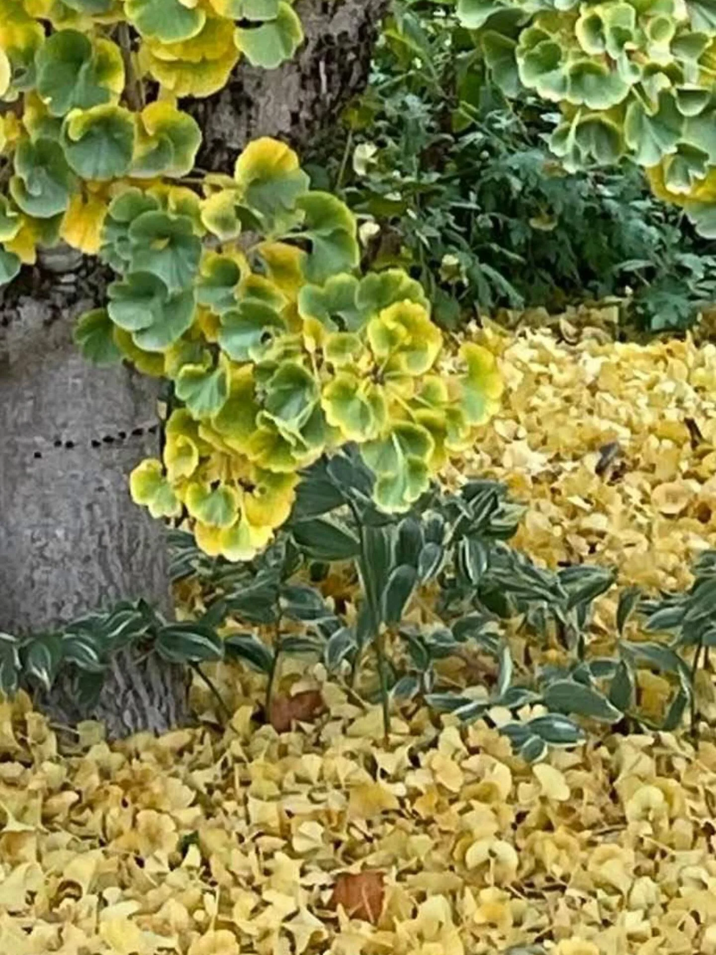 &ldquo;When people hate others, it causes arguments. But love covers over all sins.&rdquo;
‭‭Proverbs‬ ‭10‬:‭12‬ ‭EASY‬‬