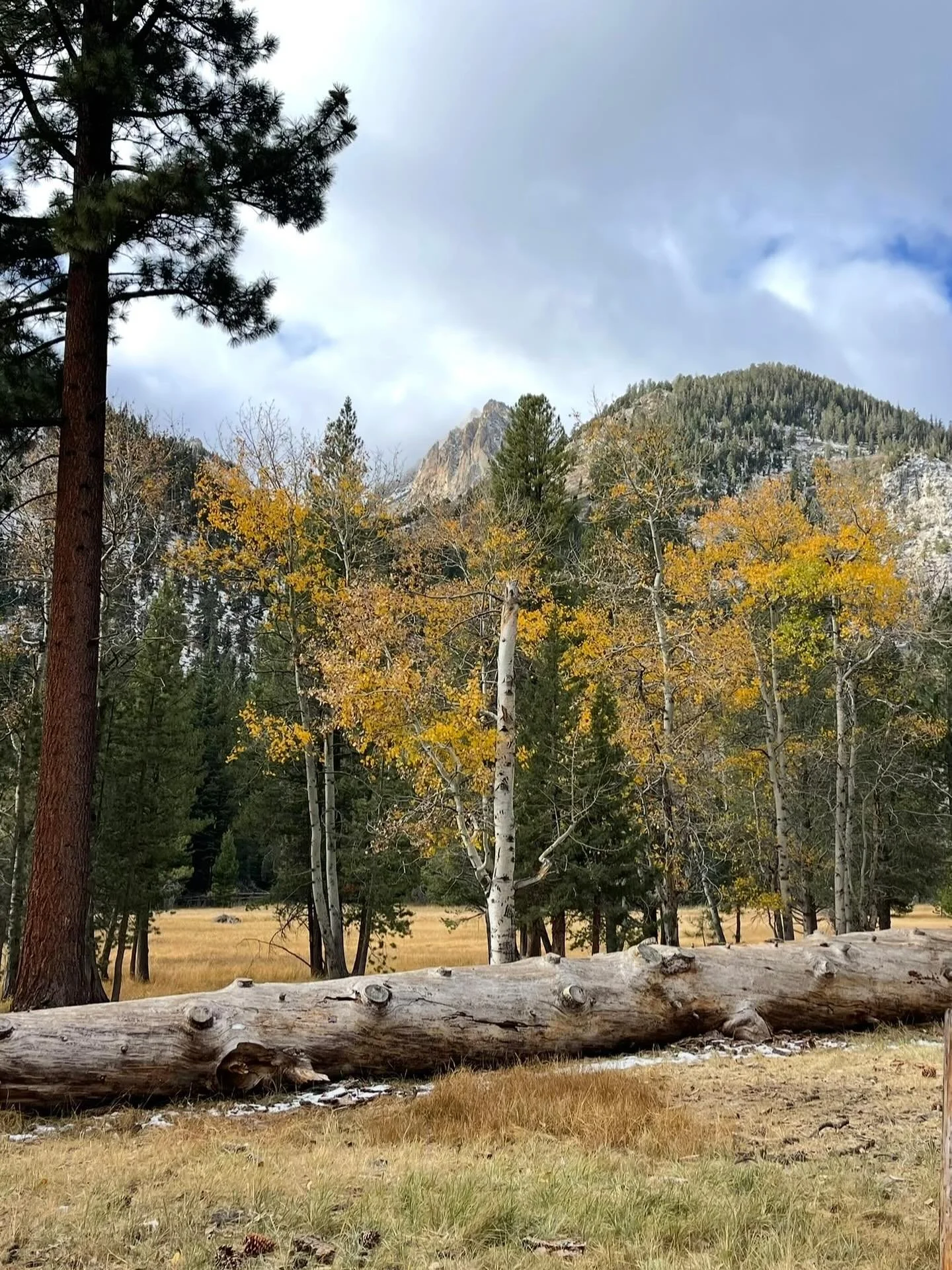 &ldquo;Many, Lord my God, are the wonders you have done, the things you planned for us. None can compare with you; were I to speak and tell of your deeds, they would be too many to declare.&rdquo;
‭‭Psalms‬ ‭40‬:‭5‬ ‭NIV‬‬