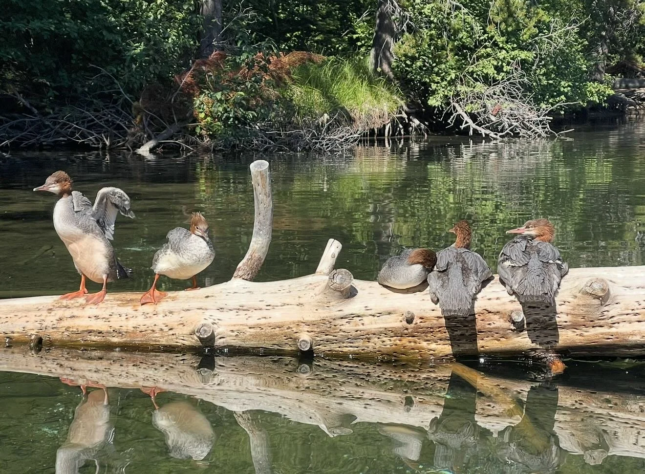 &ldquo;How wonderful, how beautiful, when brothers and sisters get along!&rdquo;
‭‭Psalms‬ ‭133‬:‭1‬ (a) MSG‬‬